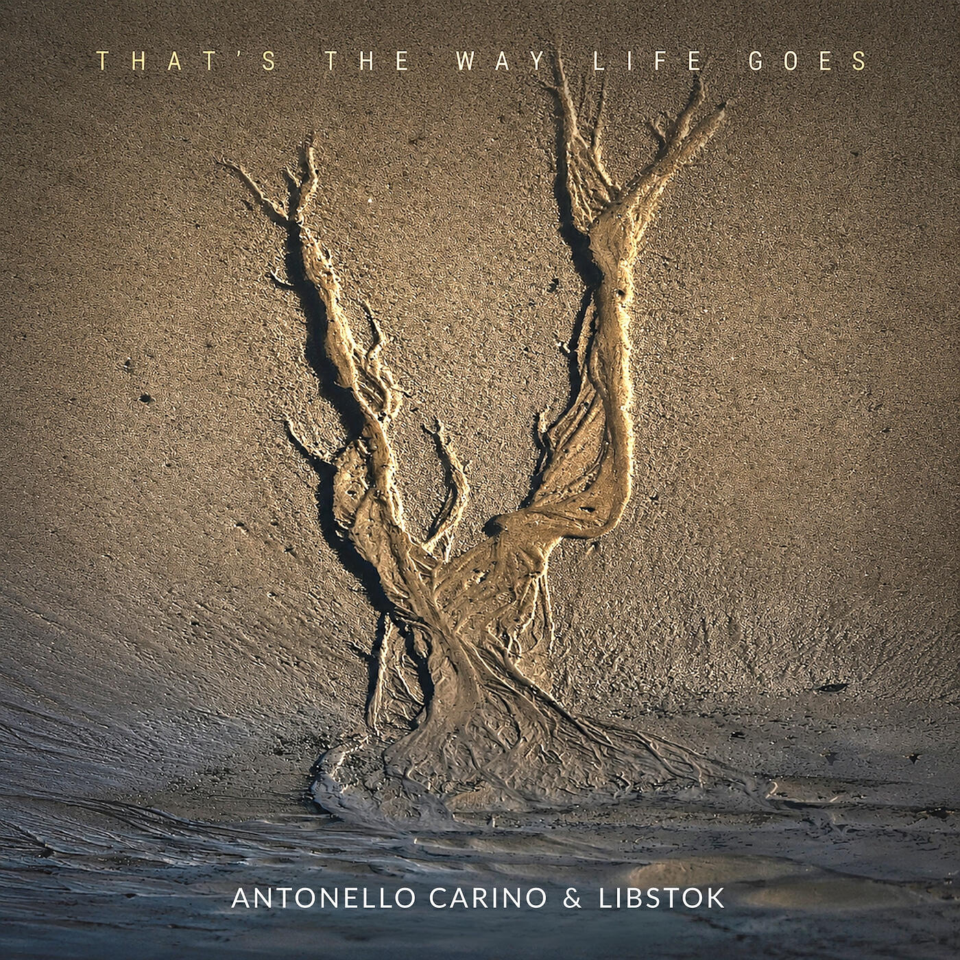 Релиз That's the Way Life Goes
