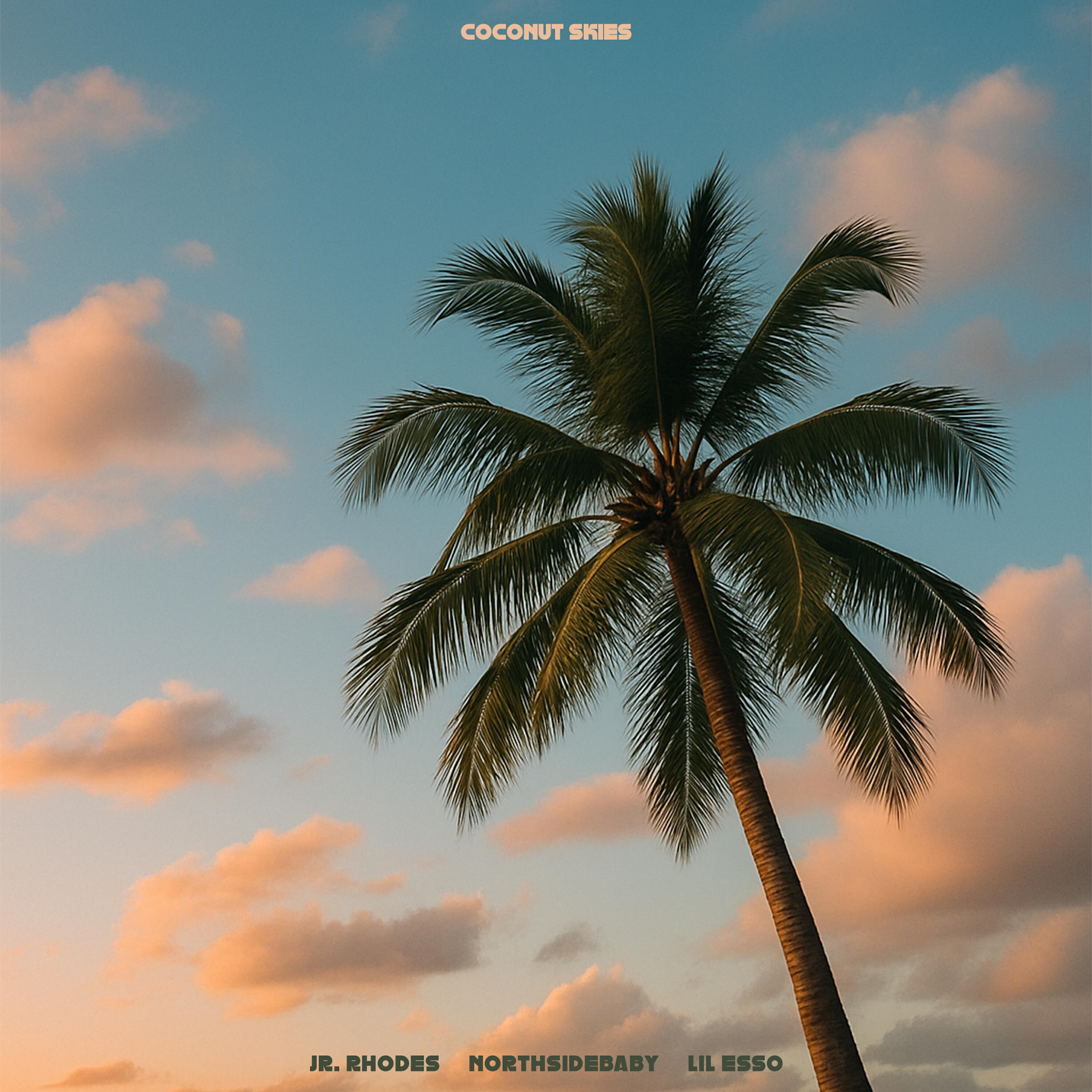 Релиз COCONUT SKIES