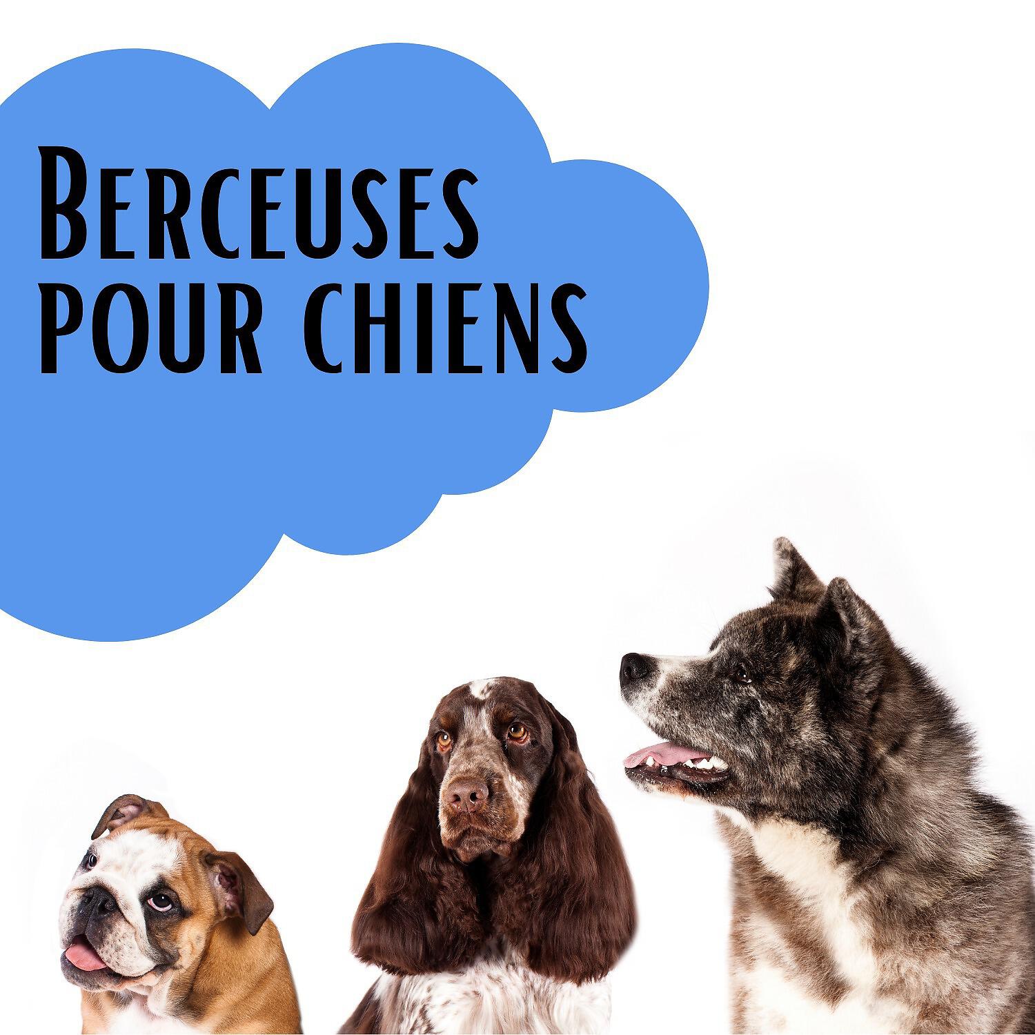 Club de musique de beaux rêves