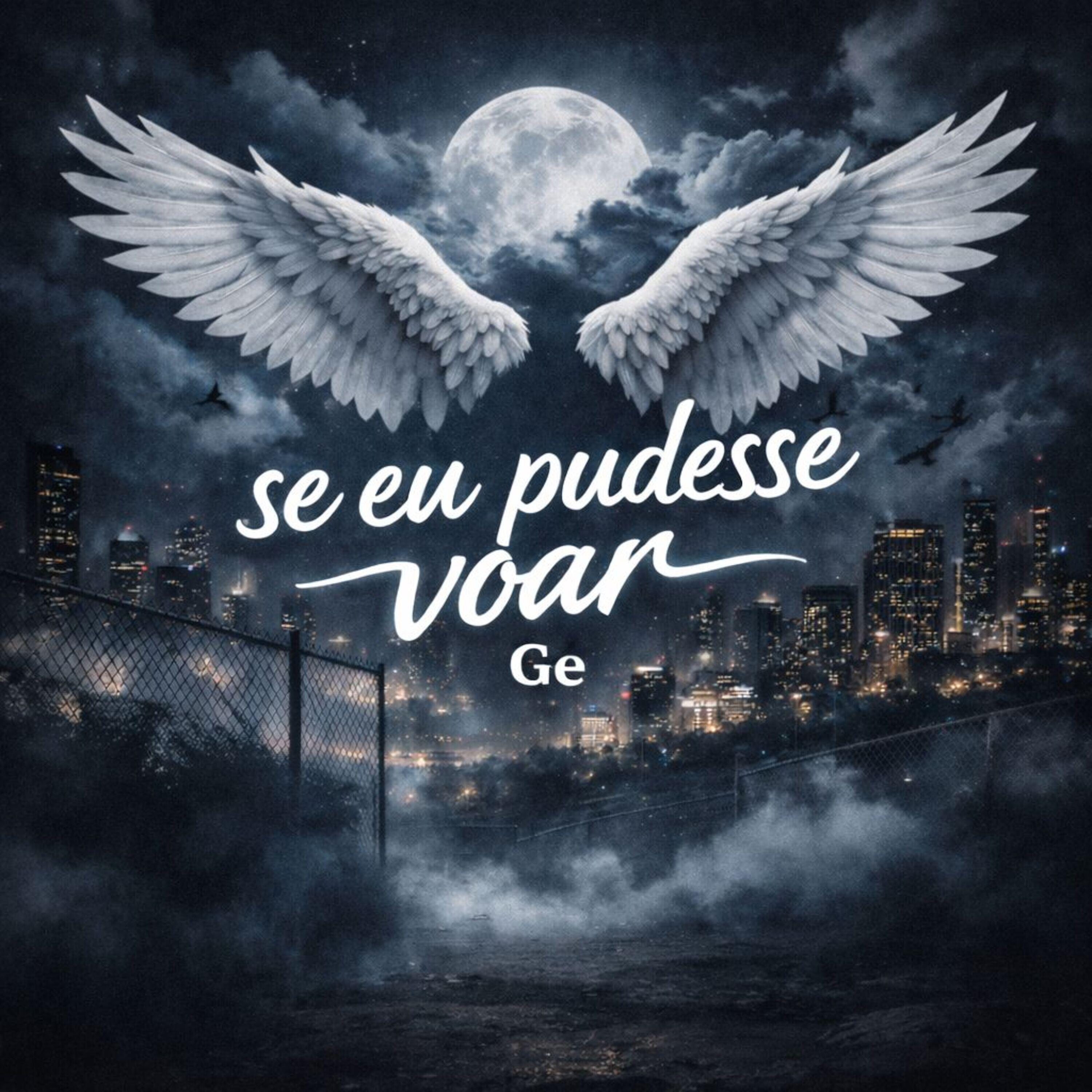 Релиз Se Eu Pudesse Voar