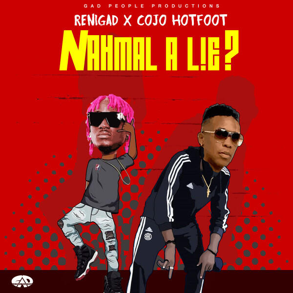 Релиз Nahmal A Lie?