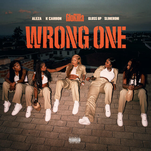 Релиз Wrong One (with Gloss Up & Slimeroni feat. K Carbon, Aleza, Tay Keith)