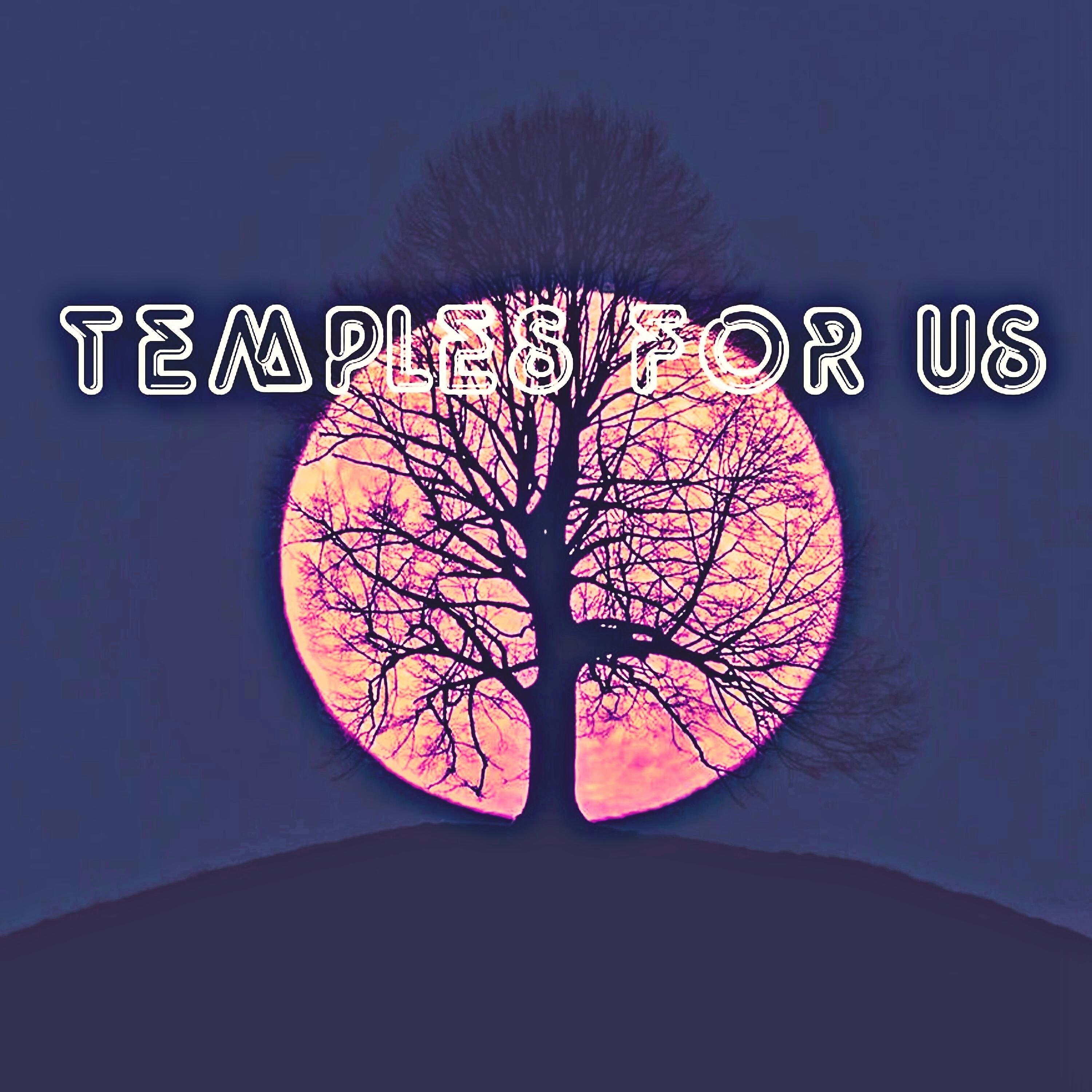 Релиз Temples For Us