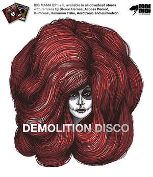 Demolition Disco