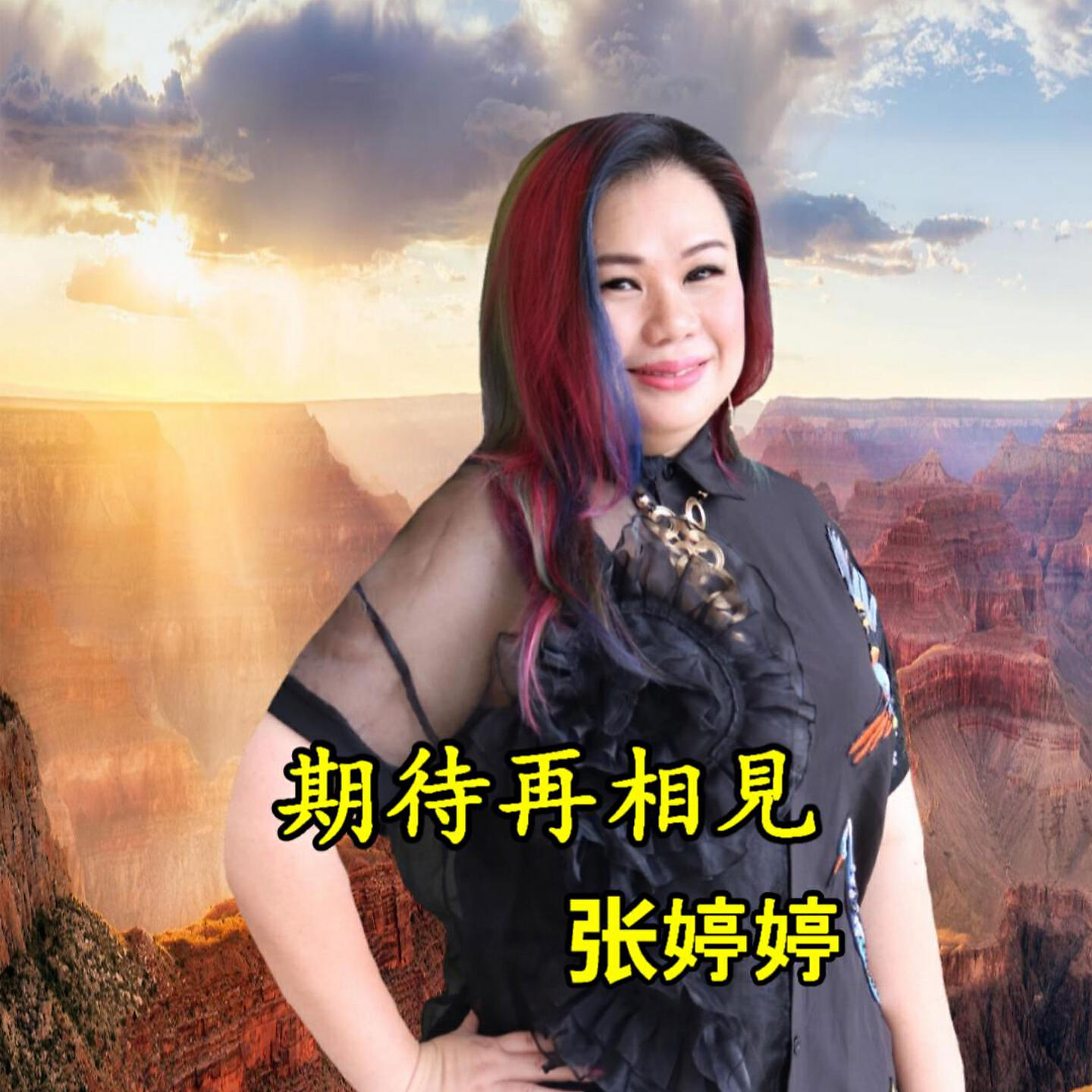 Релиз 期待再相见