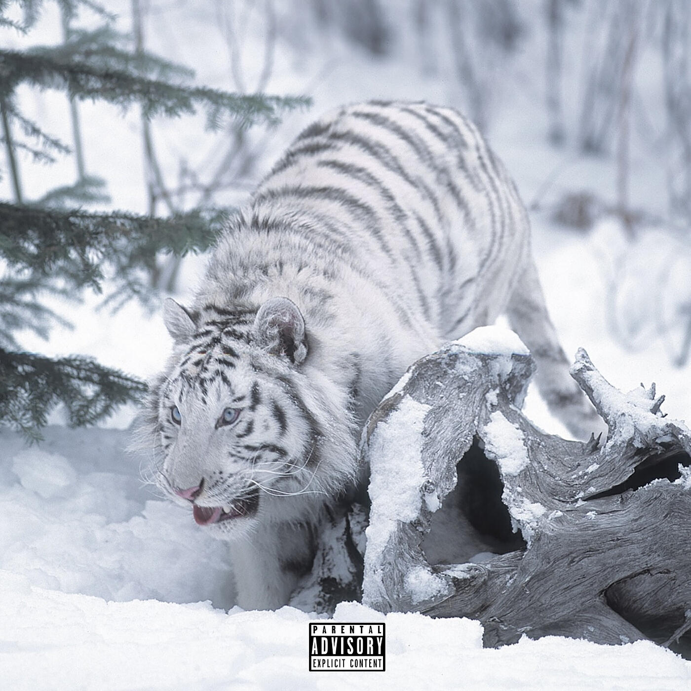 Релиз Snowy Jungle