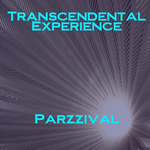 Релиз Transcendental Experience