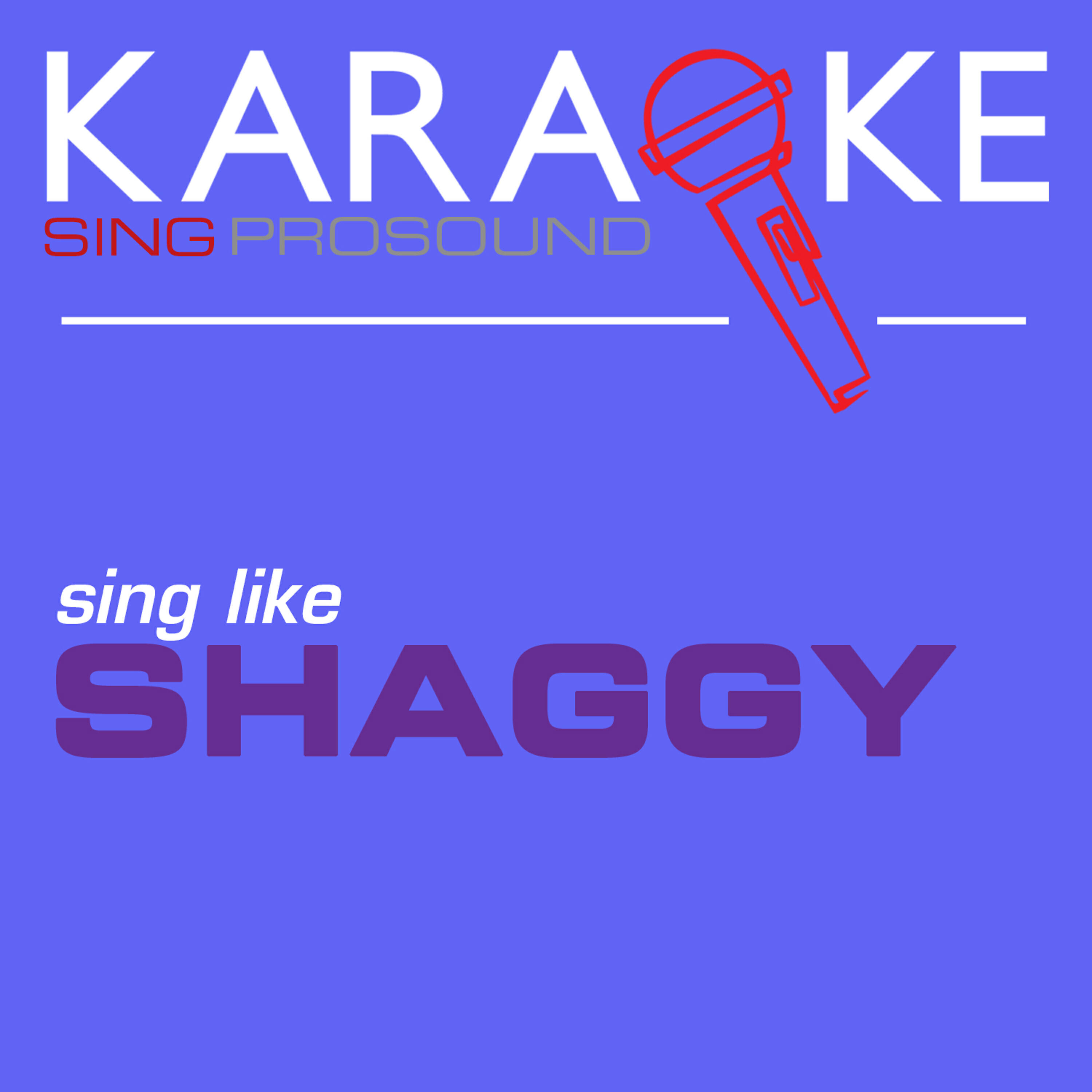 Релиз Karaoke in the Style of Shaggy