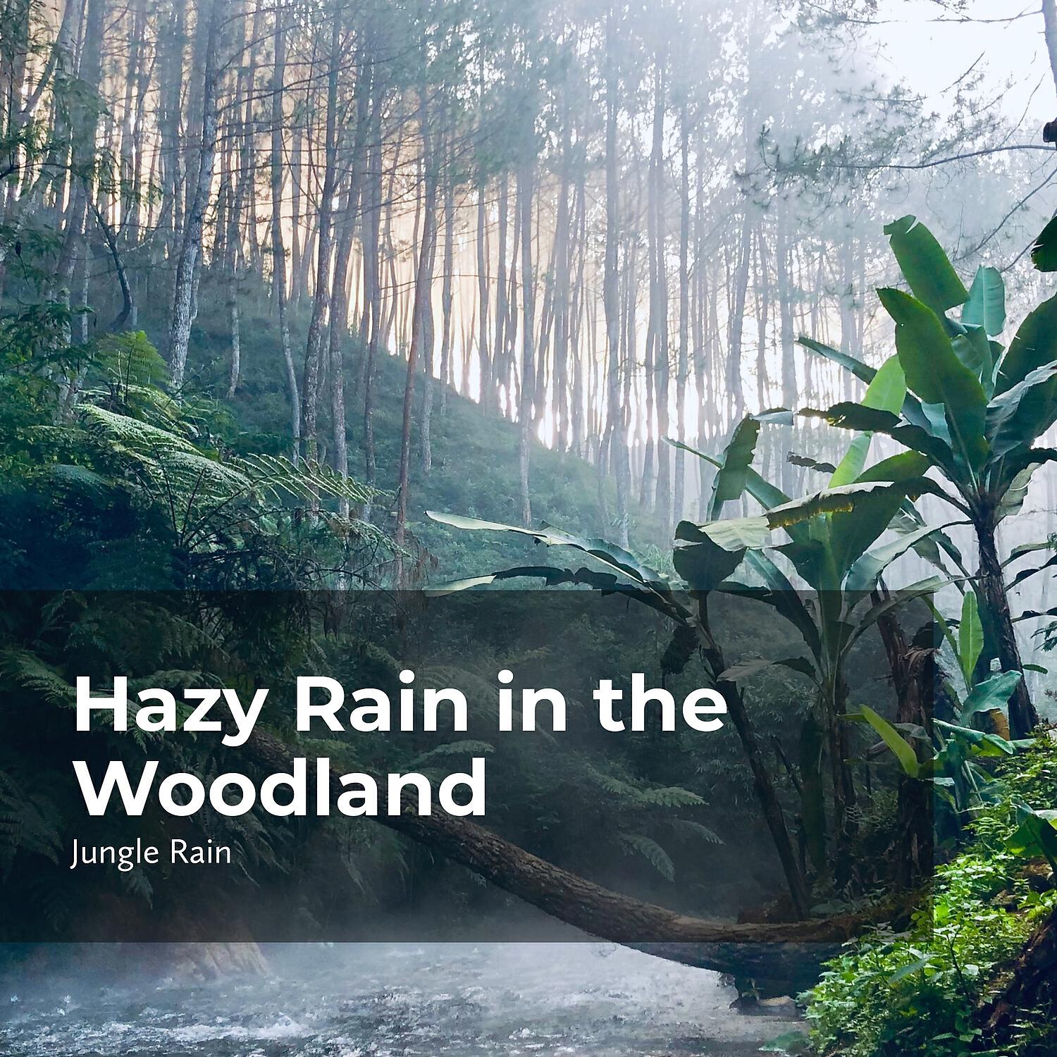 Релиз Hazy Rain in the Woodland