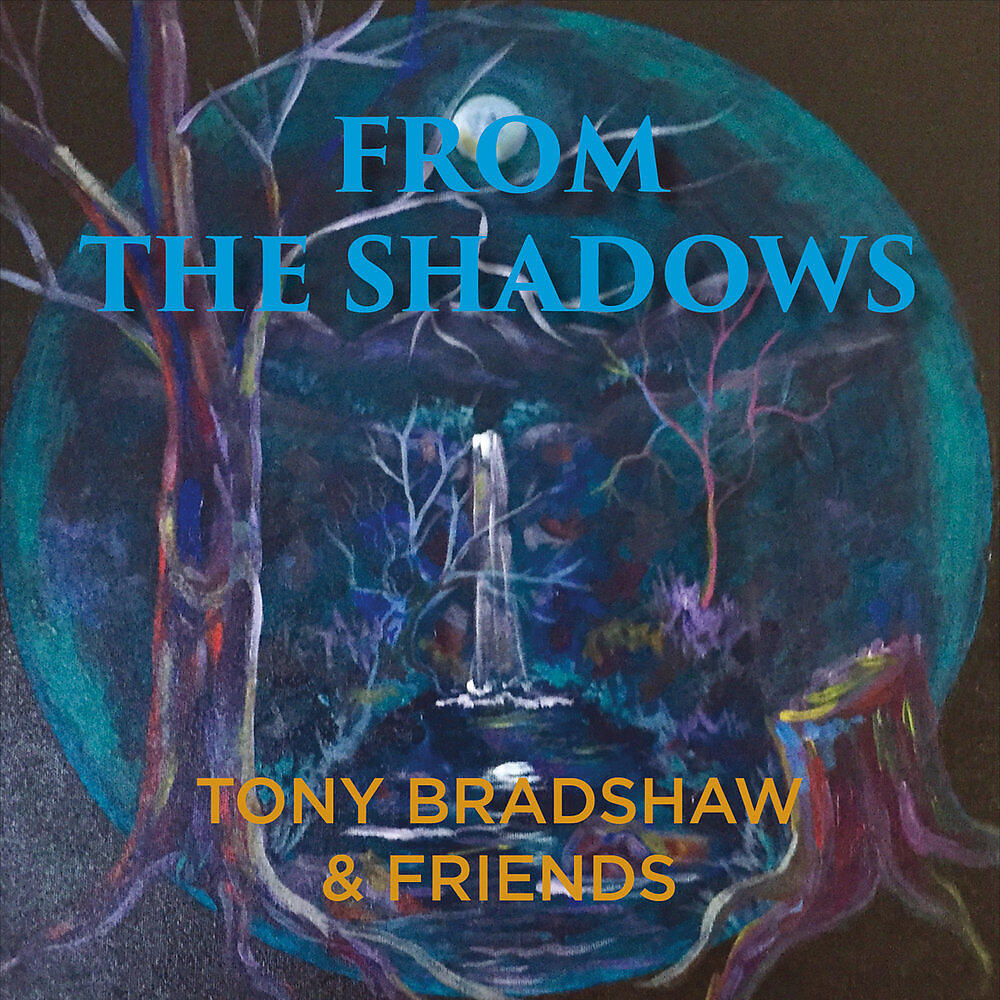 Релиз From the Shadows