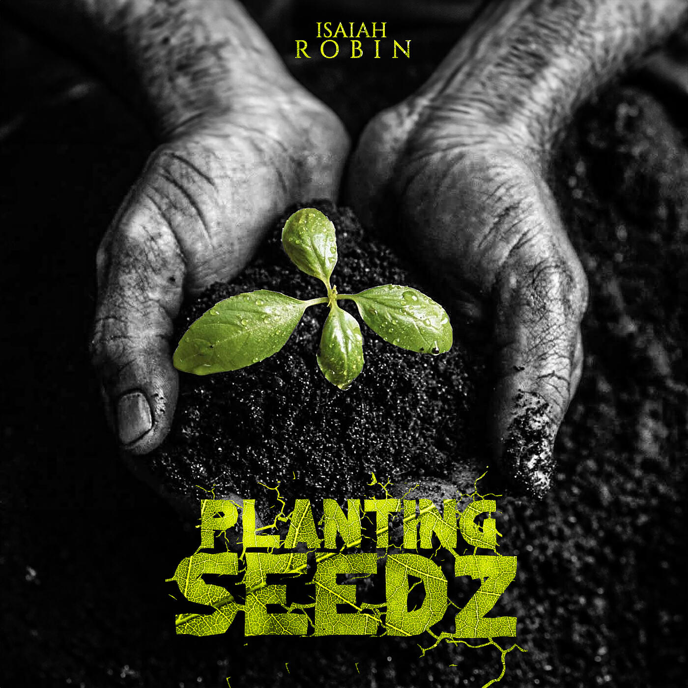 Релиз Planting Seedz