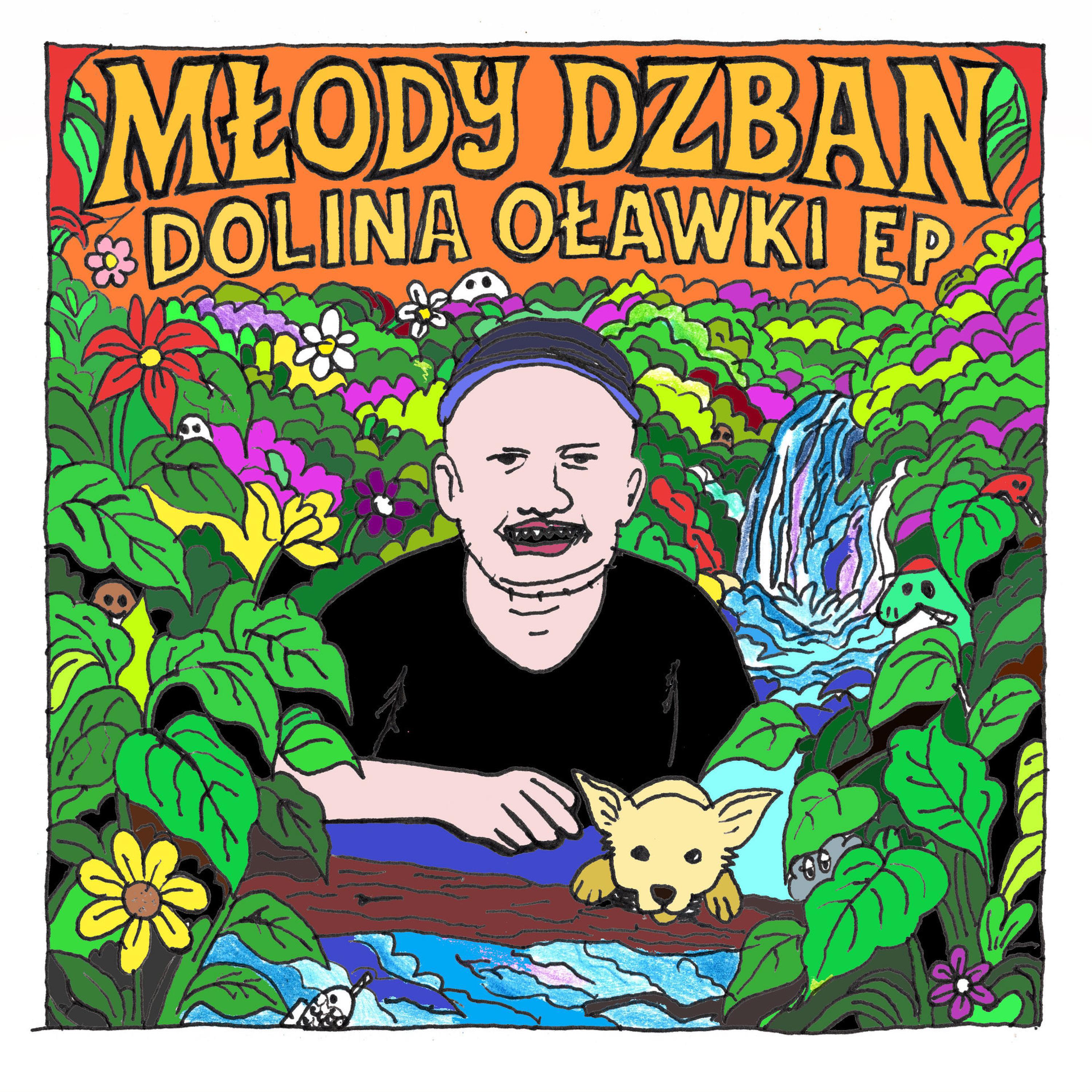 Релиз DOLINA OŁAWKI
