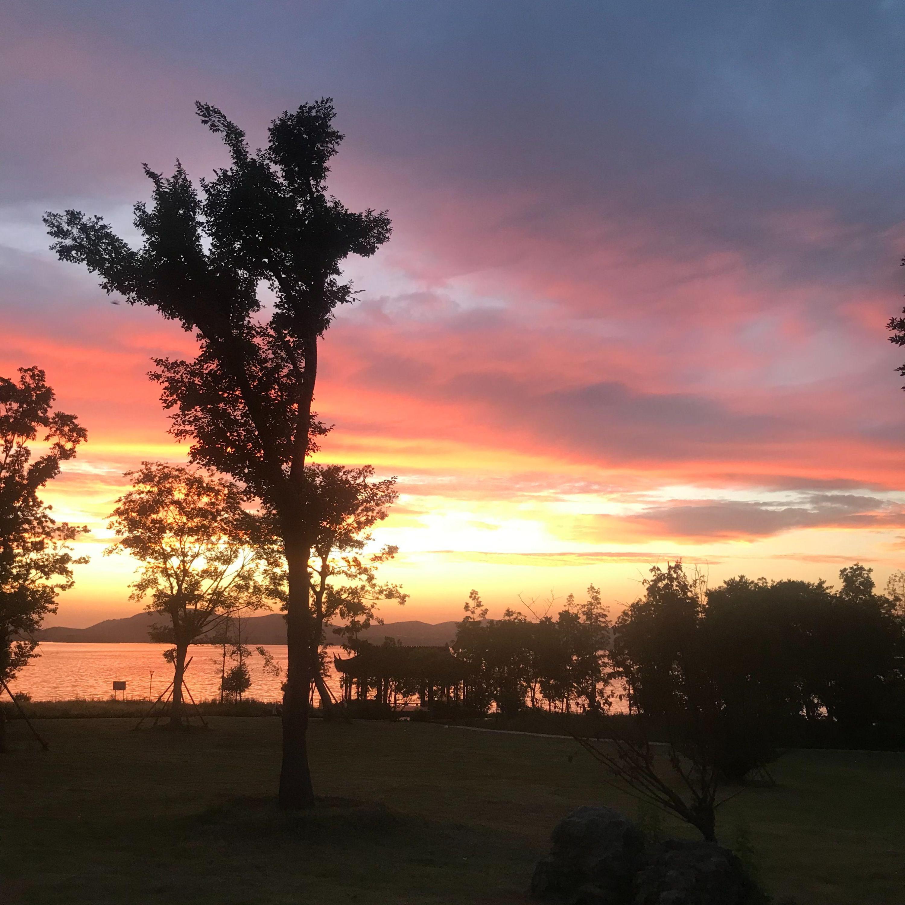 Релиз 徐州第一深情