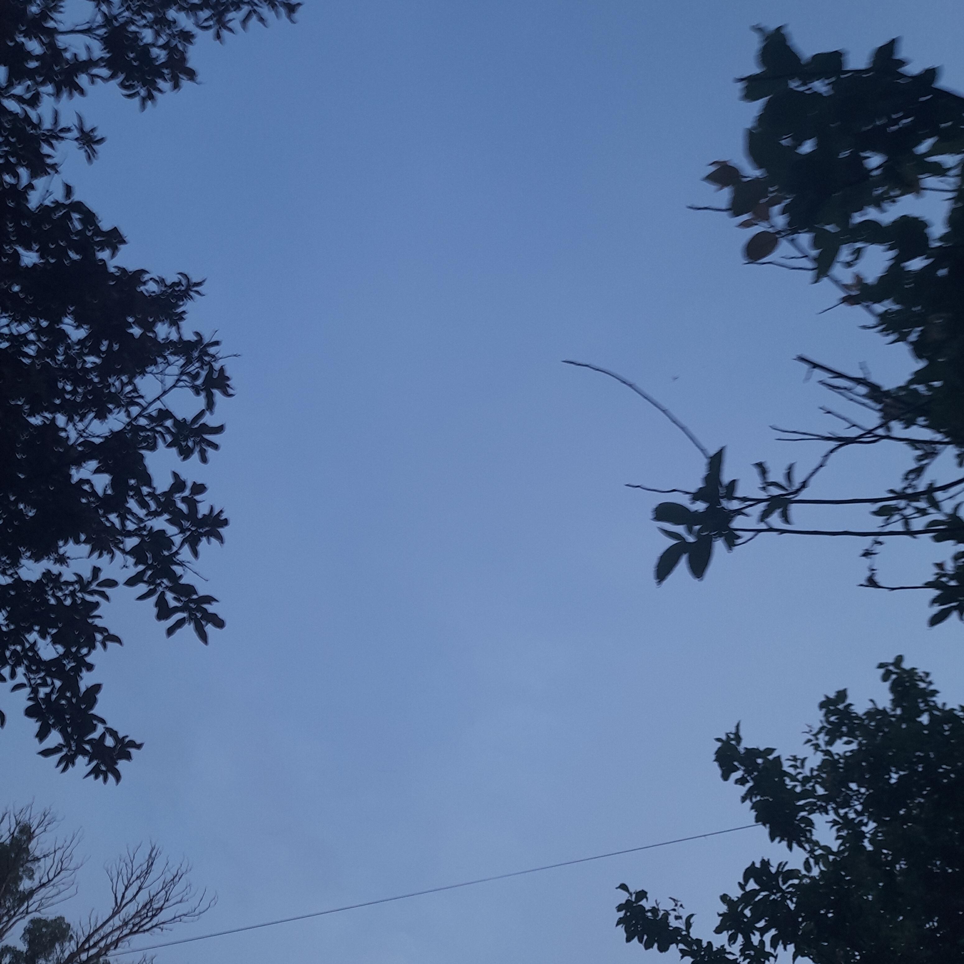 Релиз Darkglory