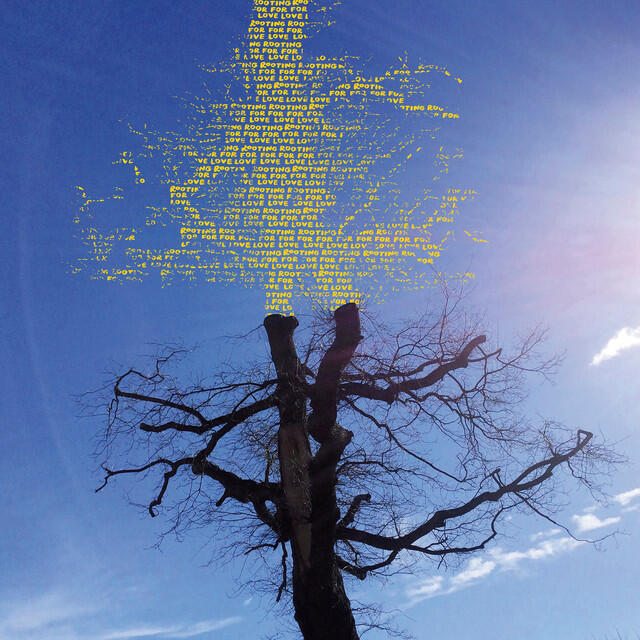 Релиз Rooting for Love