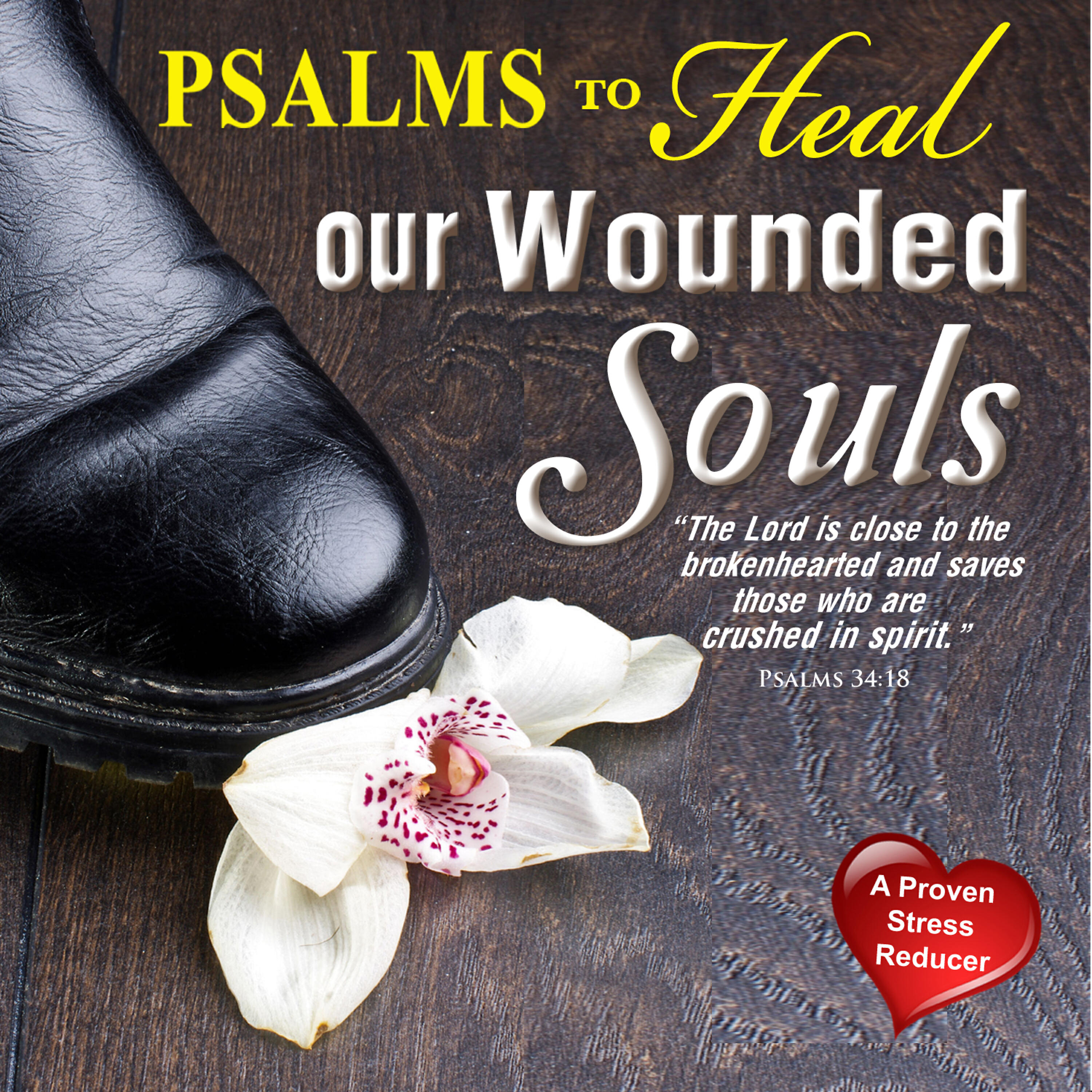 Релиз Psalms to Heal Wounded Souls