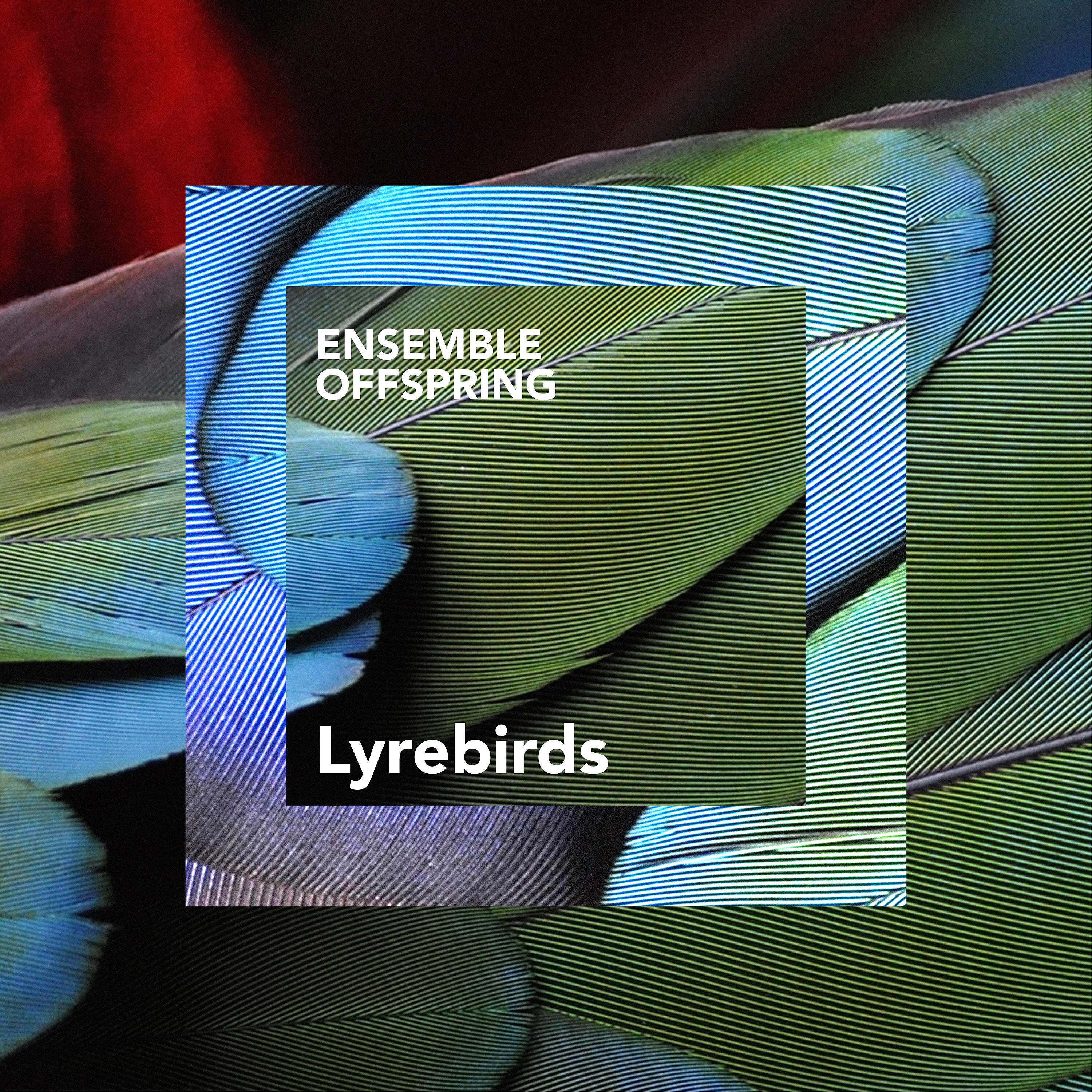 Релиз Beautiful Birds: I. Lyrebirds