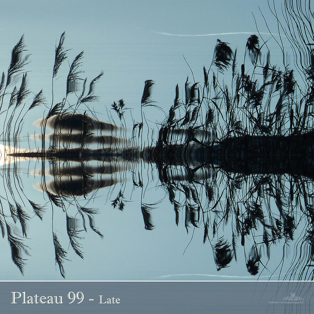 Релиз Late