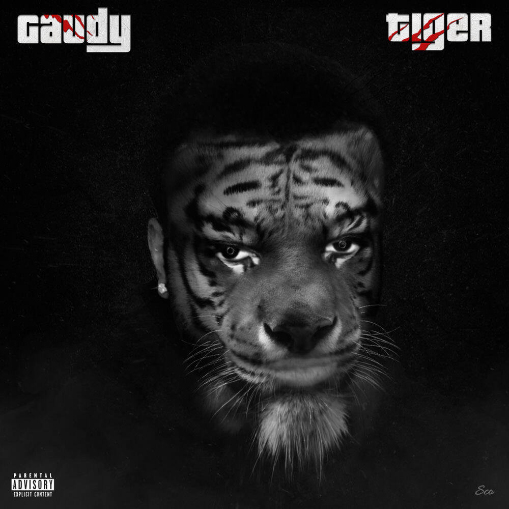 Релиз Tiger