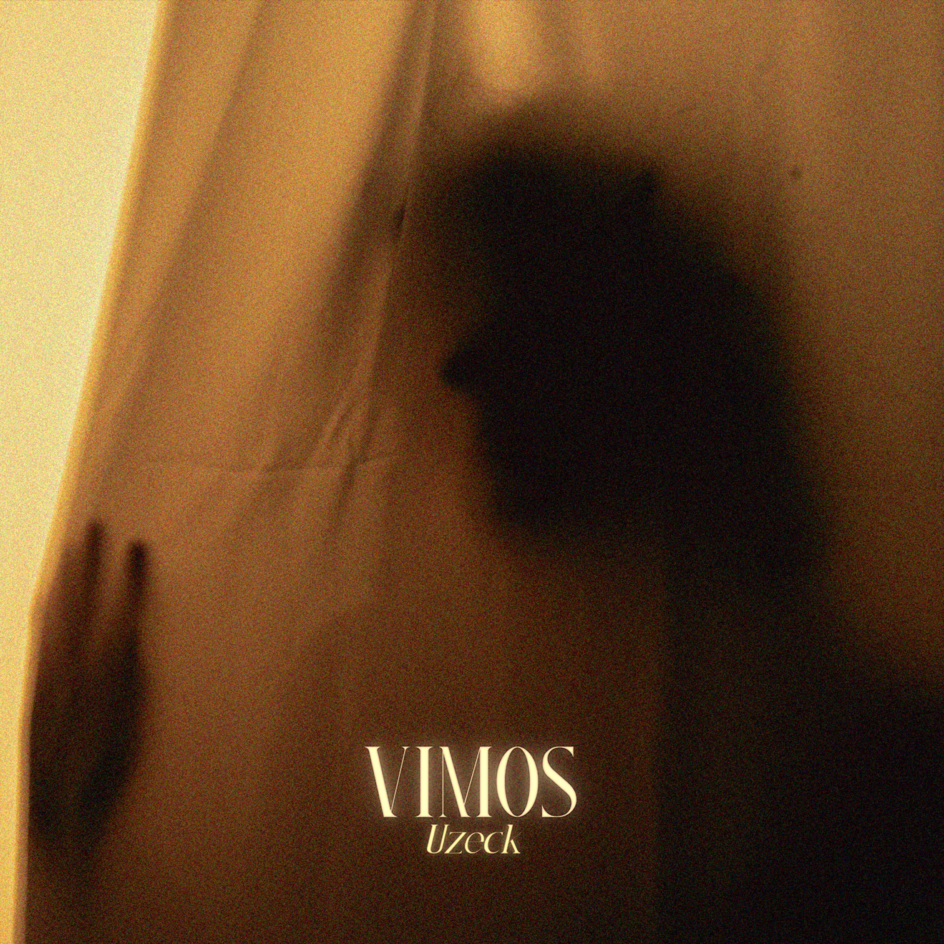 Релиз Vimos
