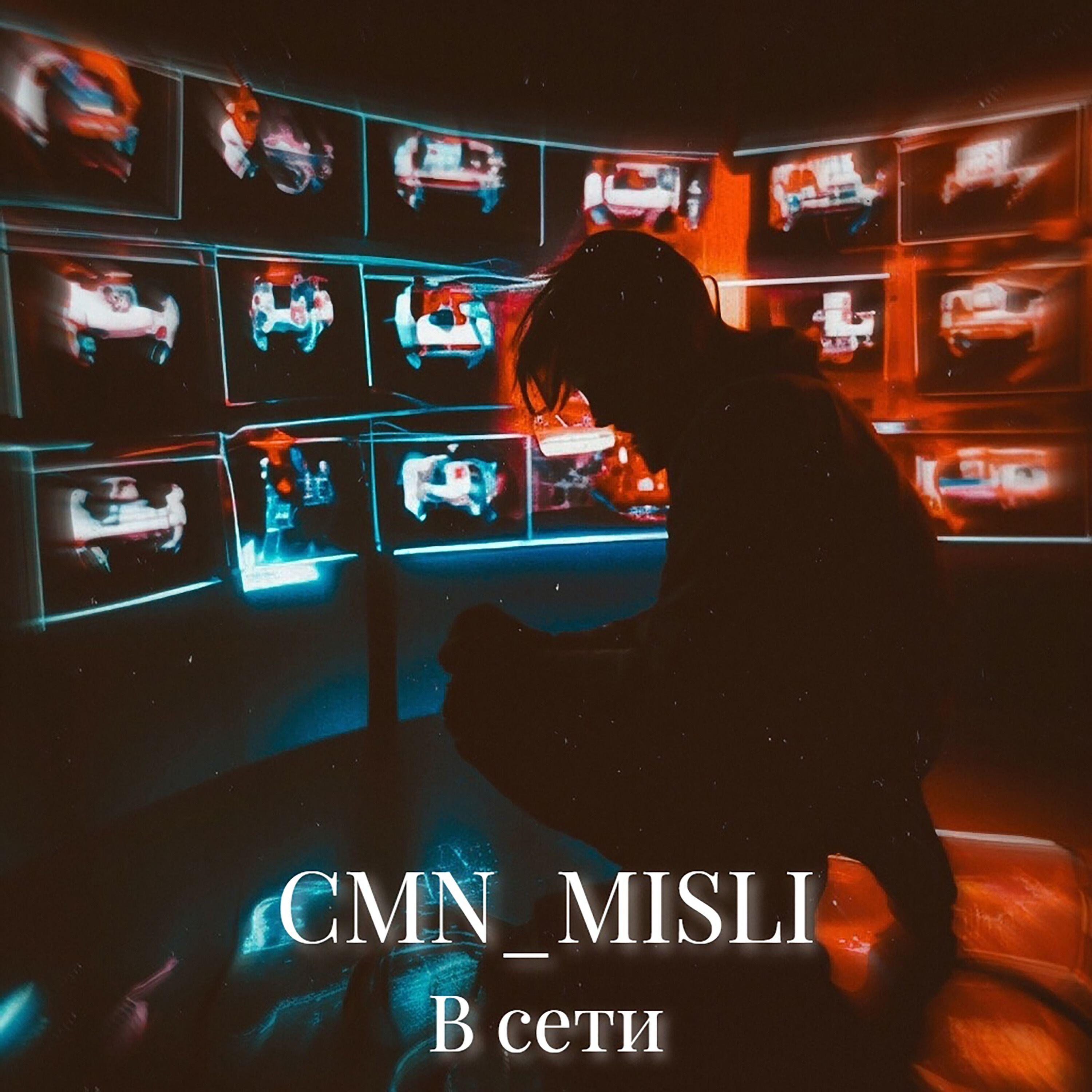CMN_MISLI
