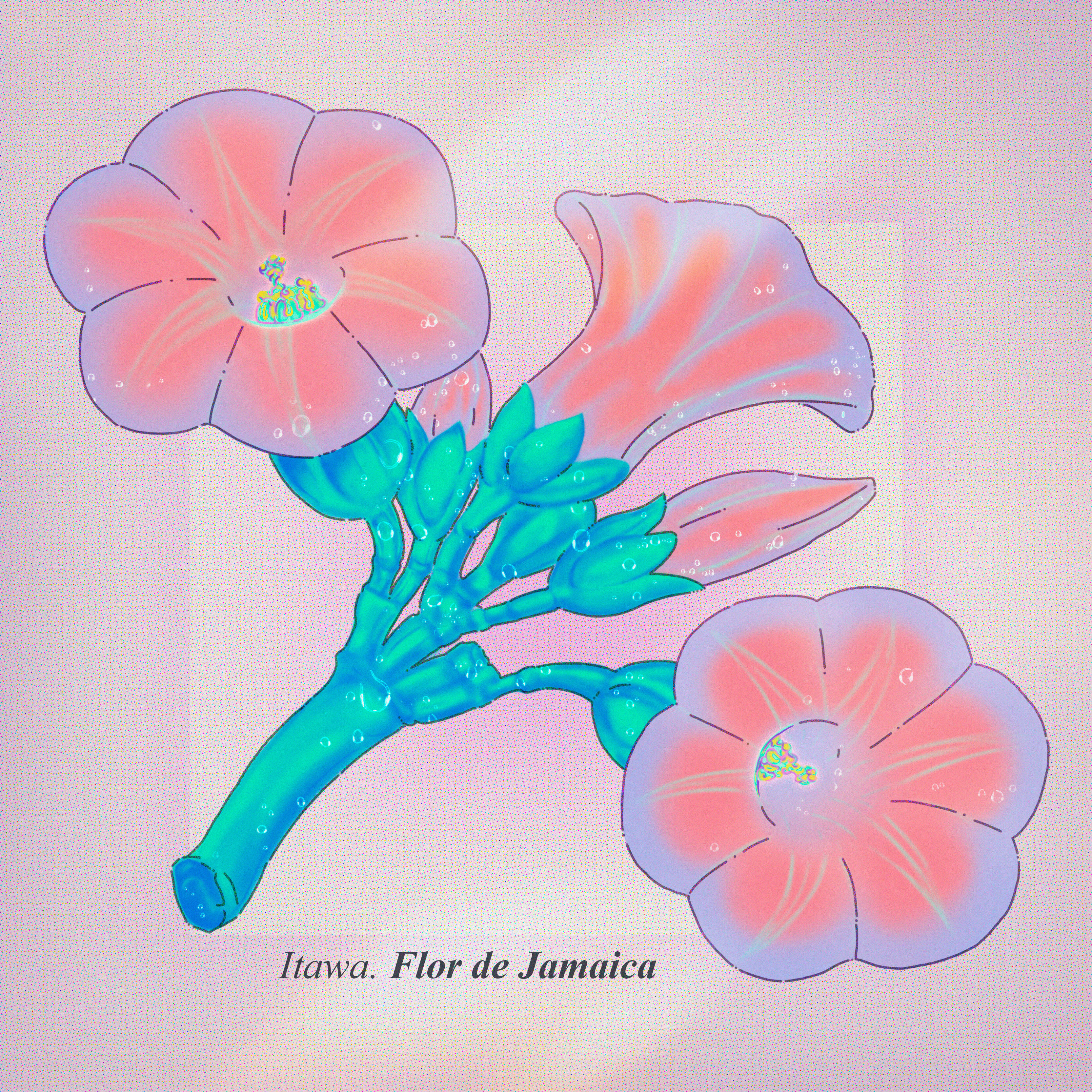 Релиз Flor de Jamaica
