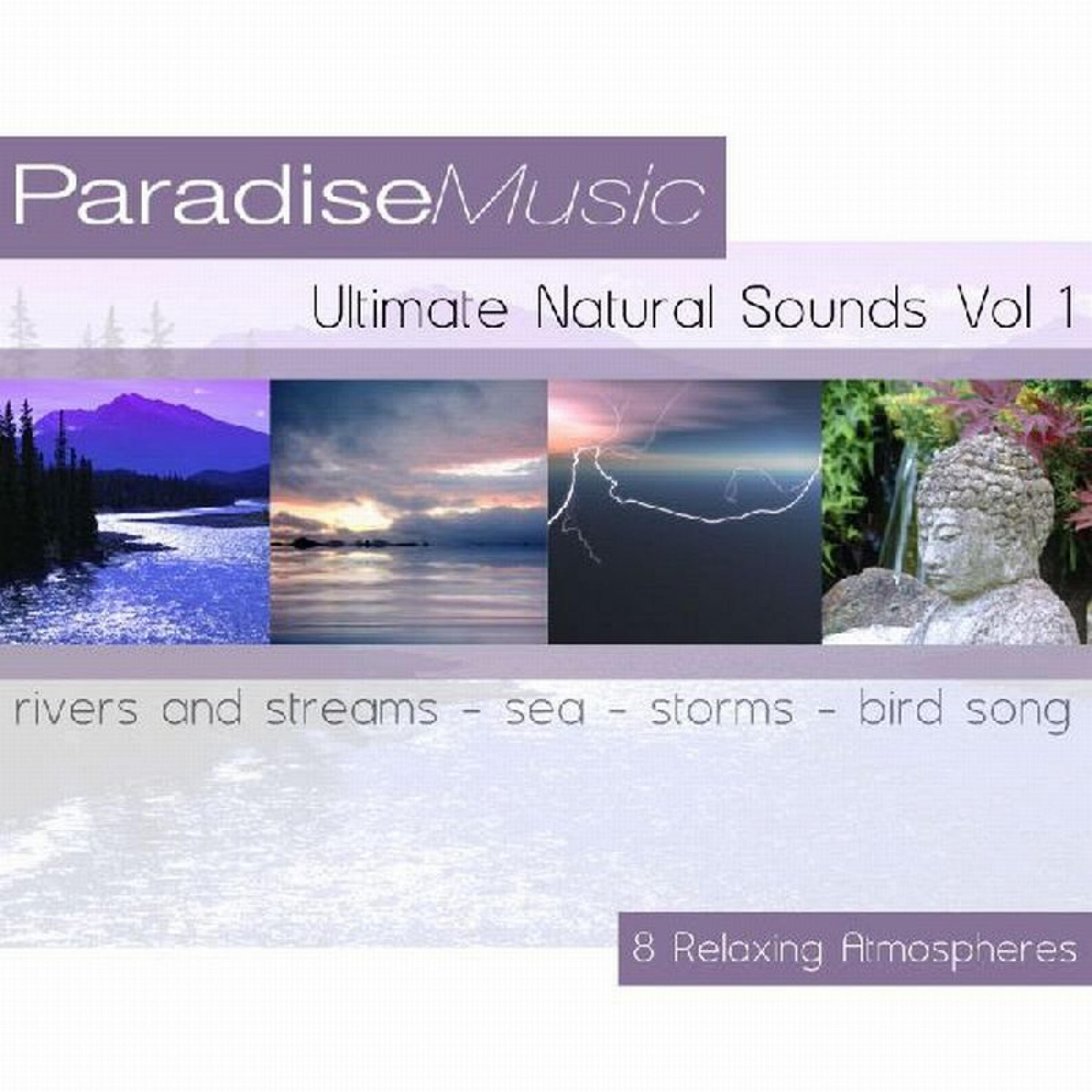 Релиз Ultimate Natural Sounds, Vol. 1