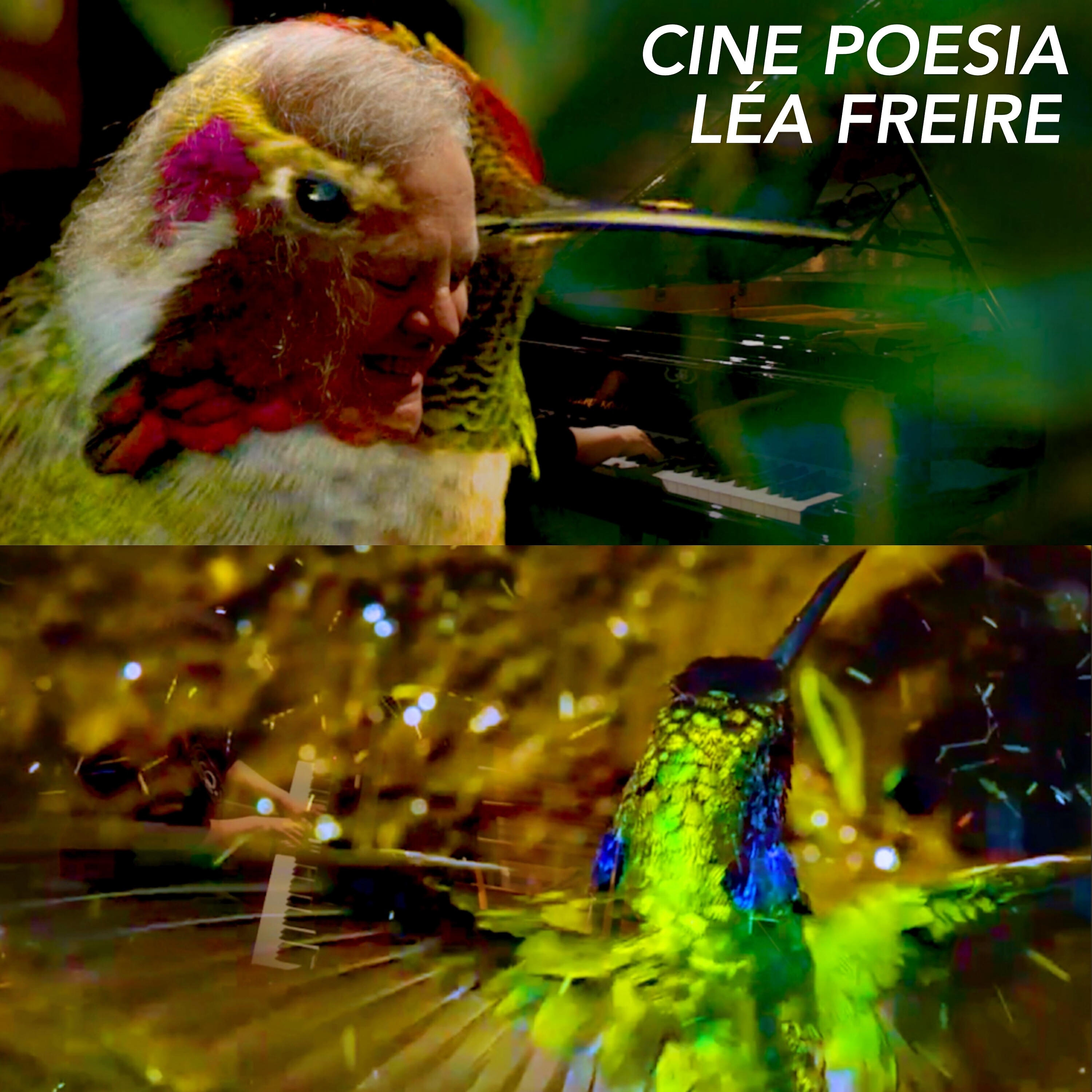 Релиз Cinepoesia: Brincando Com Theo
