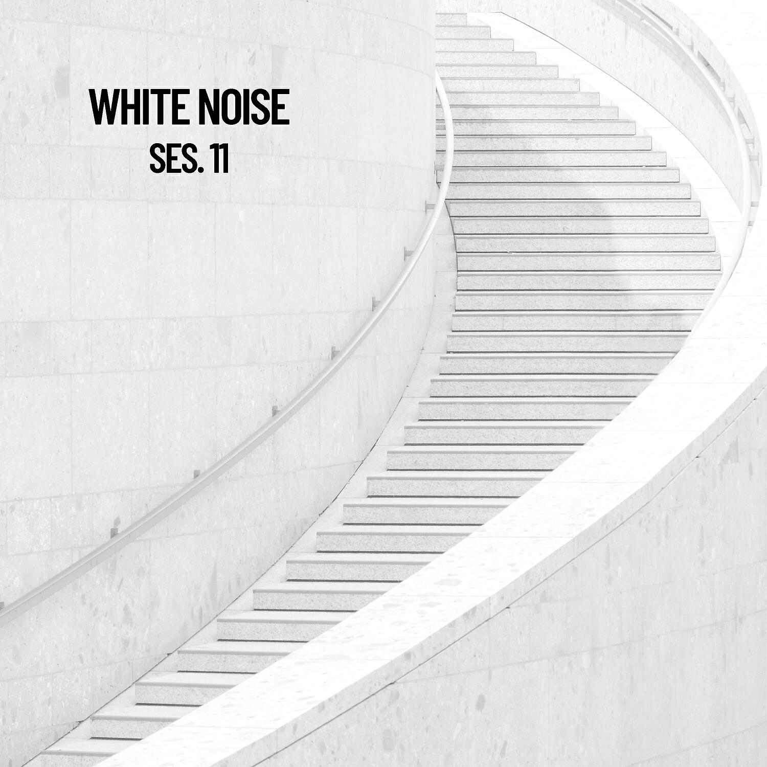 Релиз White Noise, Vol. 11 (Sounds for Meditation and Sleep)