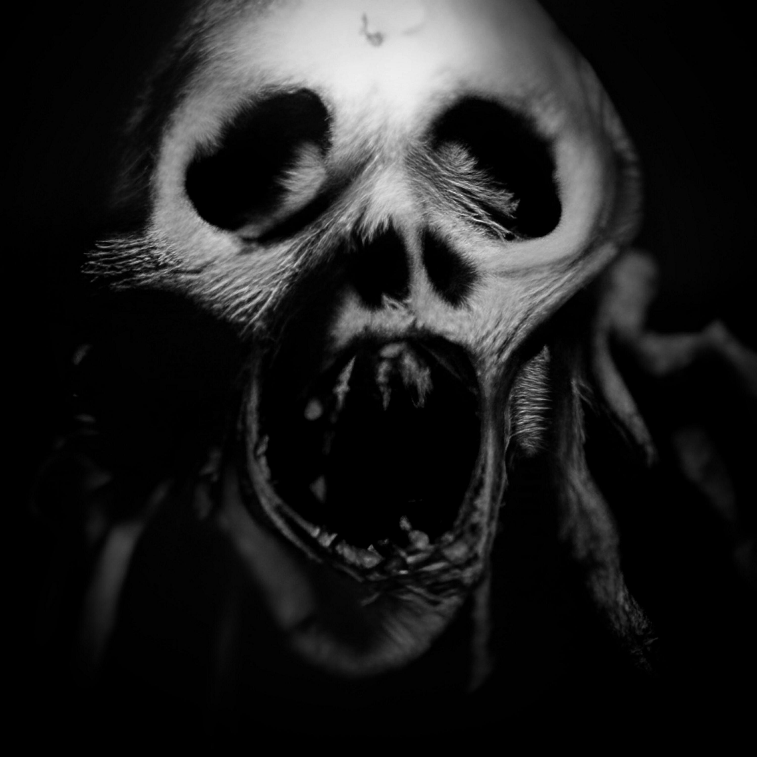 Релиз Shallow Grave