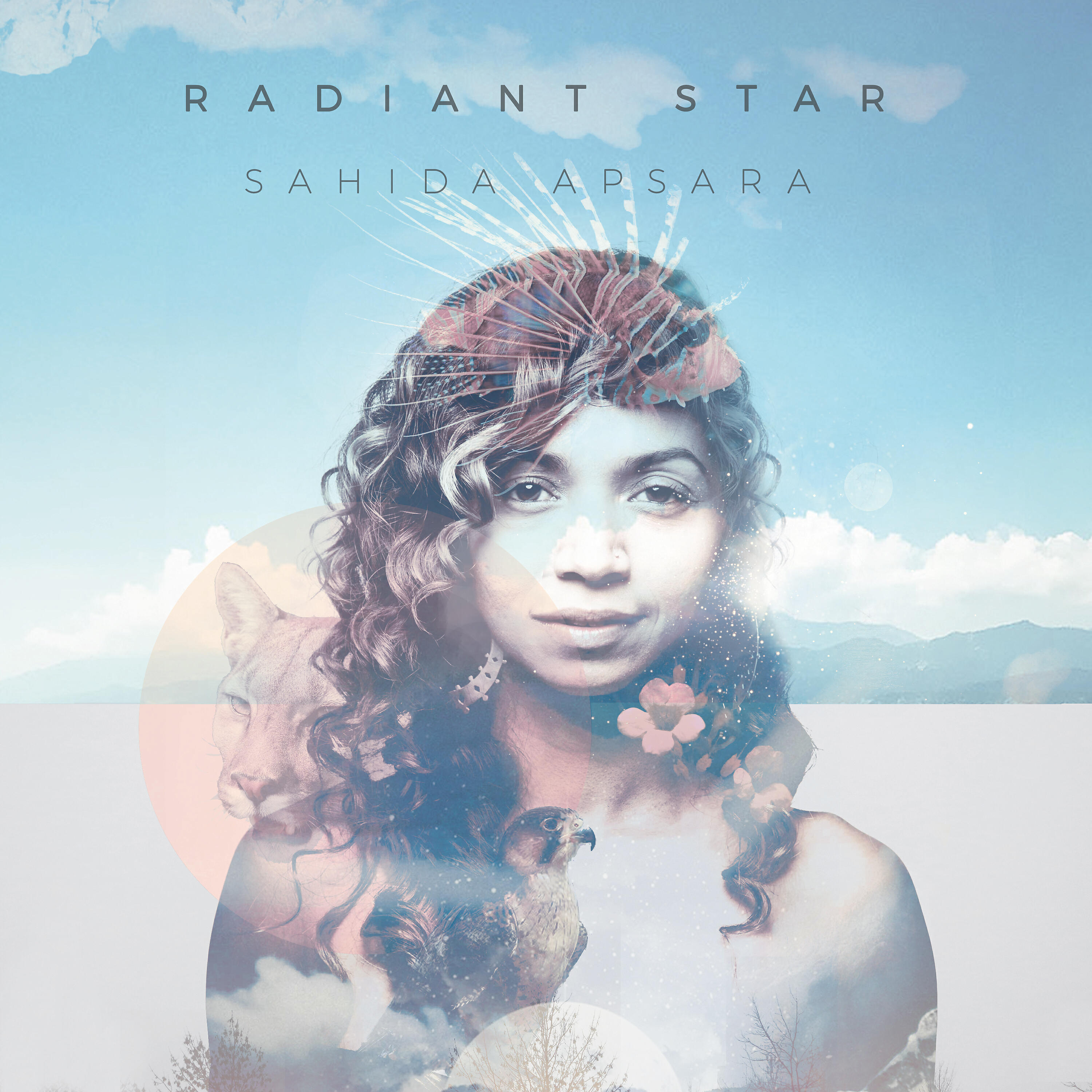 Релиз Radiant Star