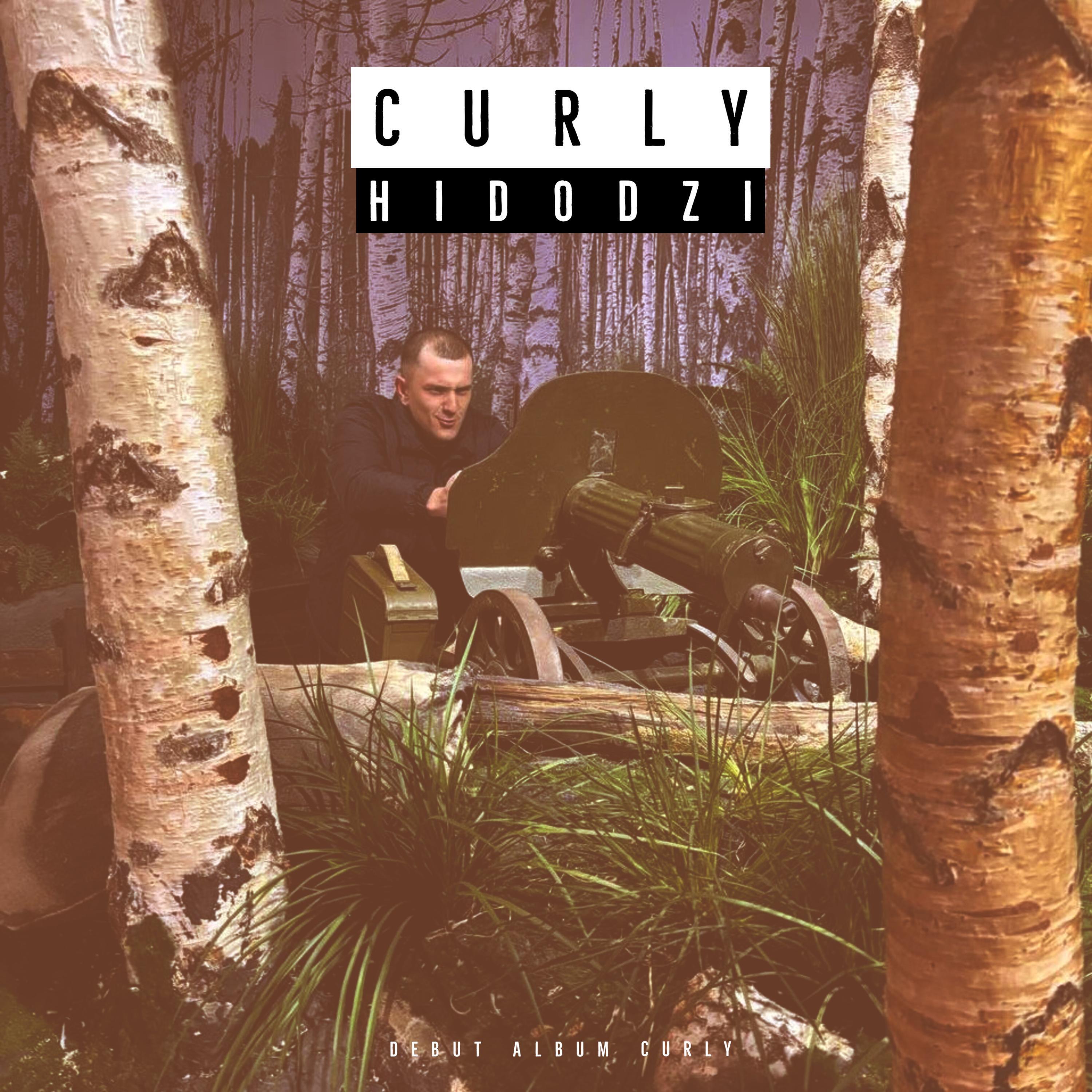 Постер альбома CURLY