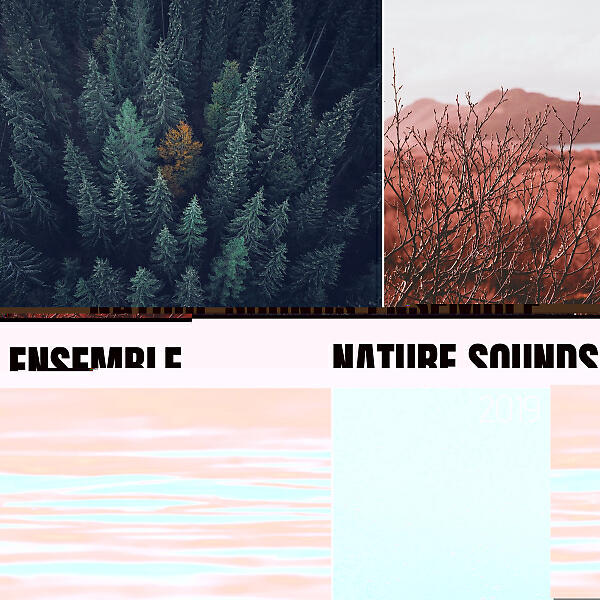 Релиз Nature Sounds Ensemble 2019 - Rain, Sea Waves, Ocean, Wind, Forest