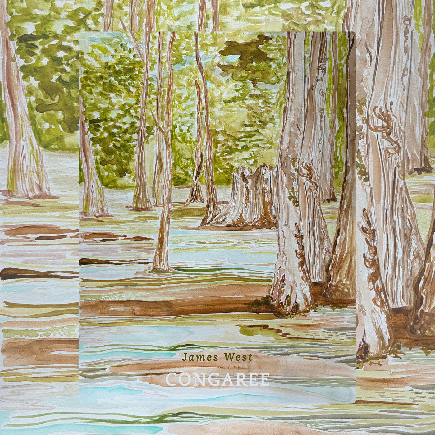 Релиз Congaree