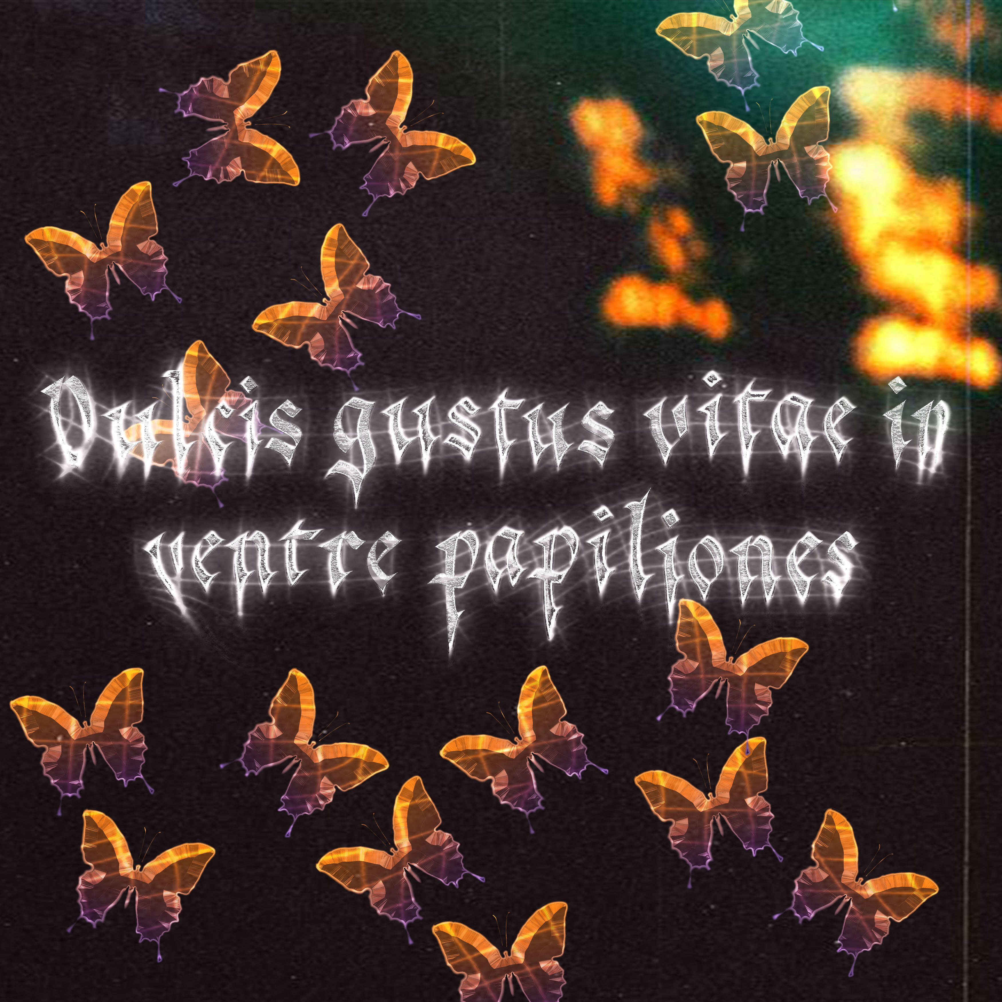 Релиз Dulcis Gustus Vitae in Ventre Papiliones