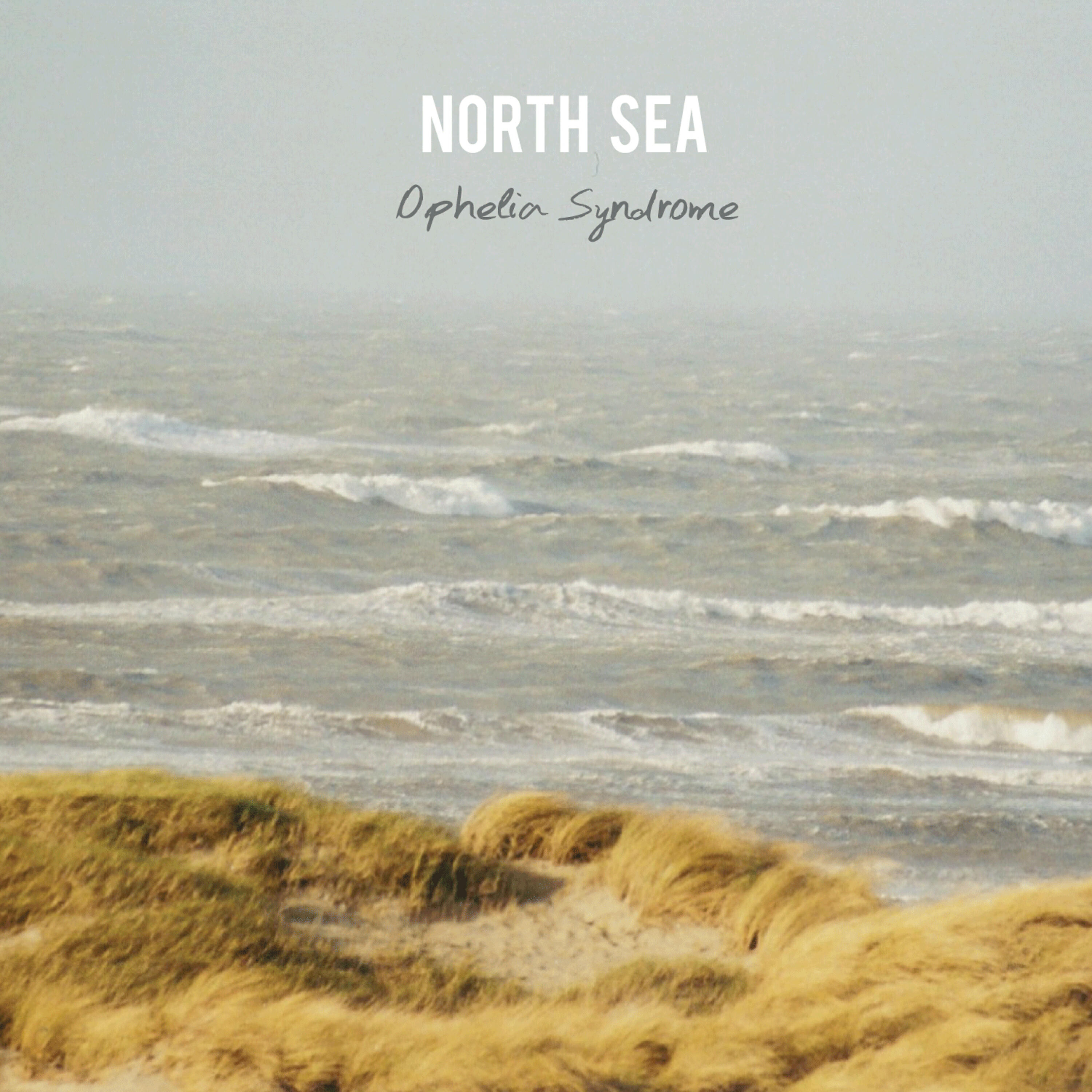 Релиз North Sea