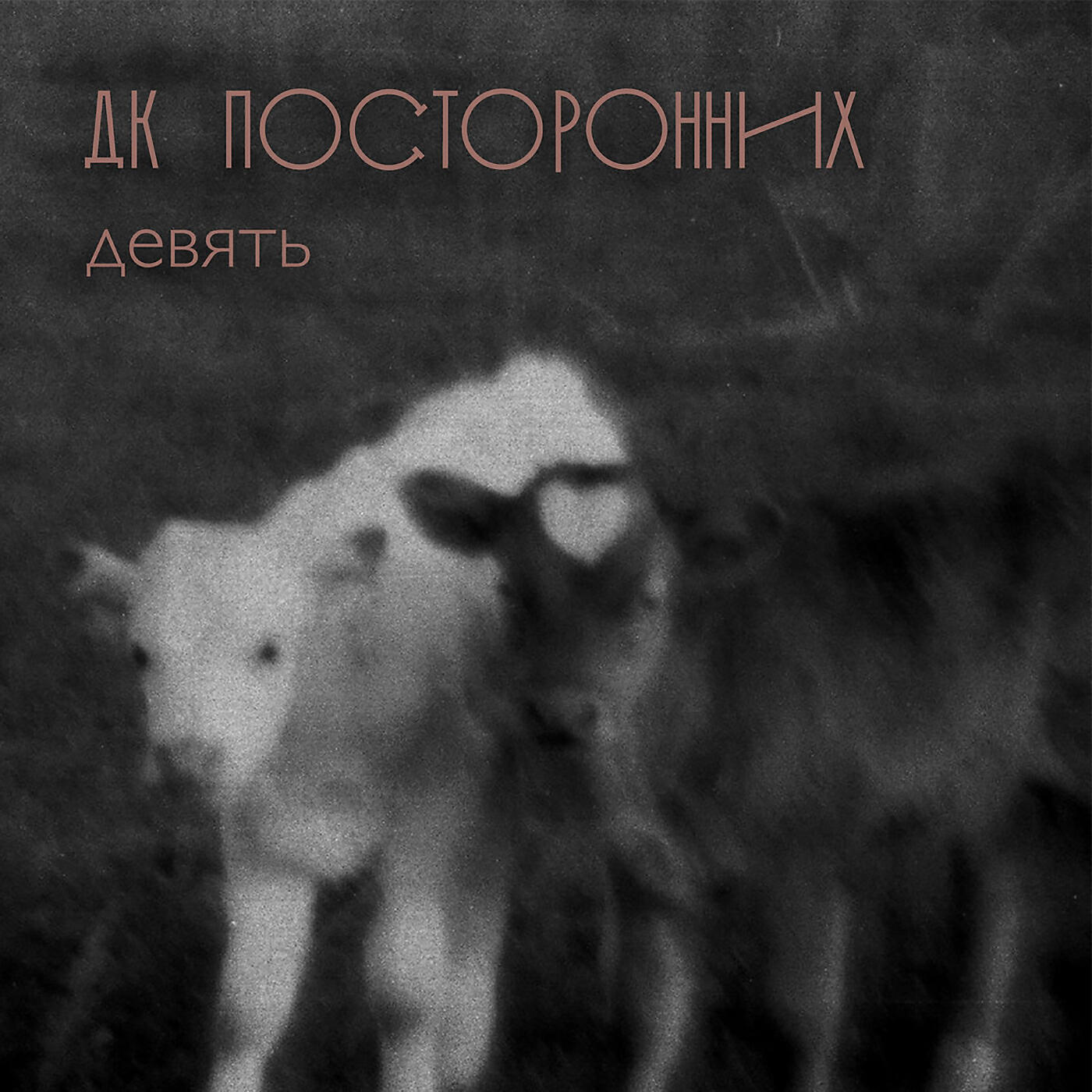 Релиз Девять