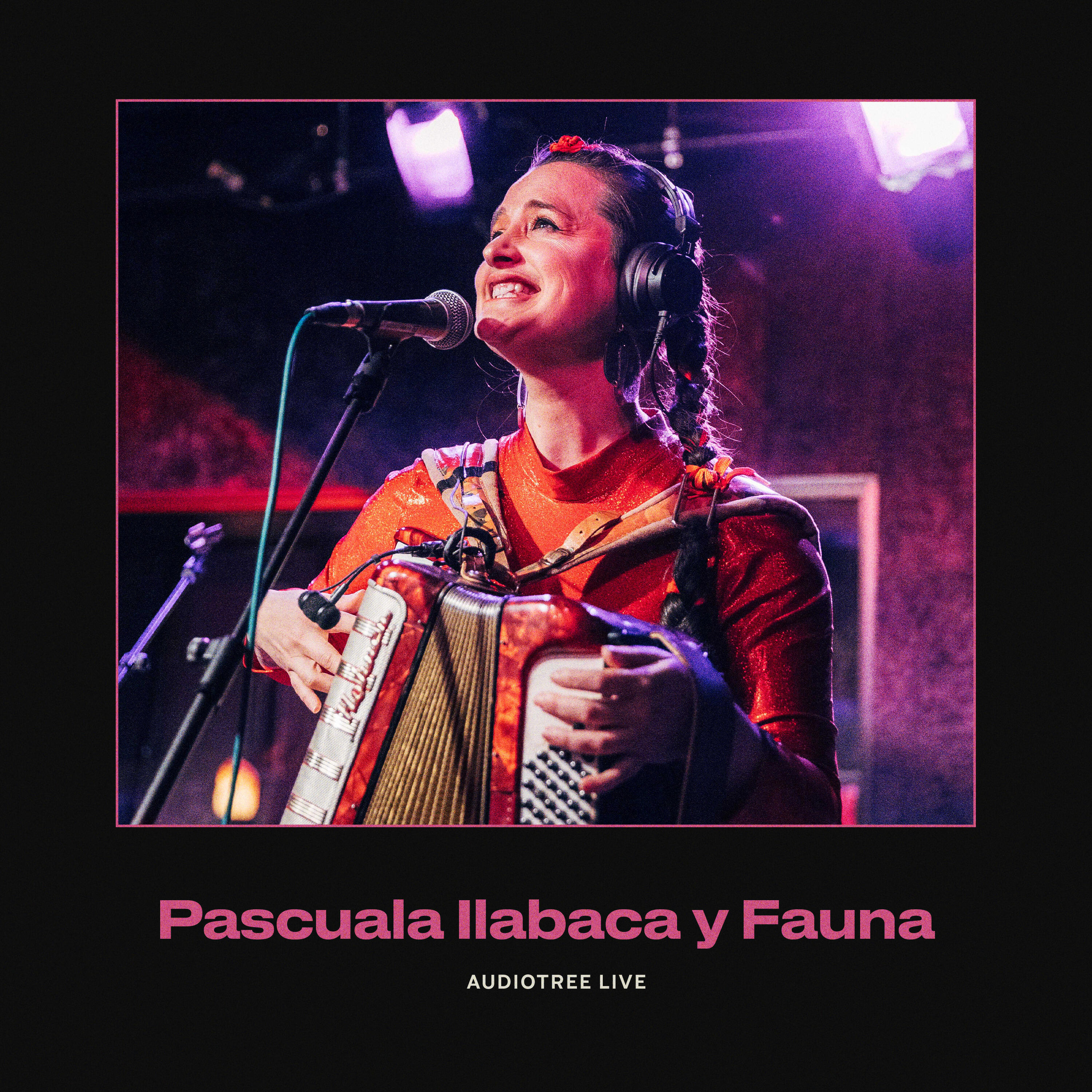 Релиз Pascuala Ilabaca y Fauna on Audiotree Live