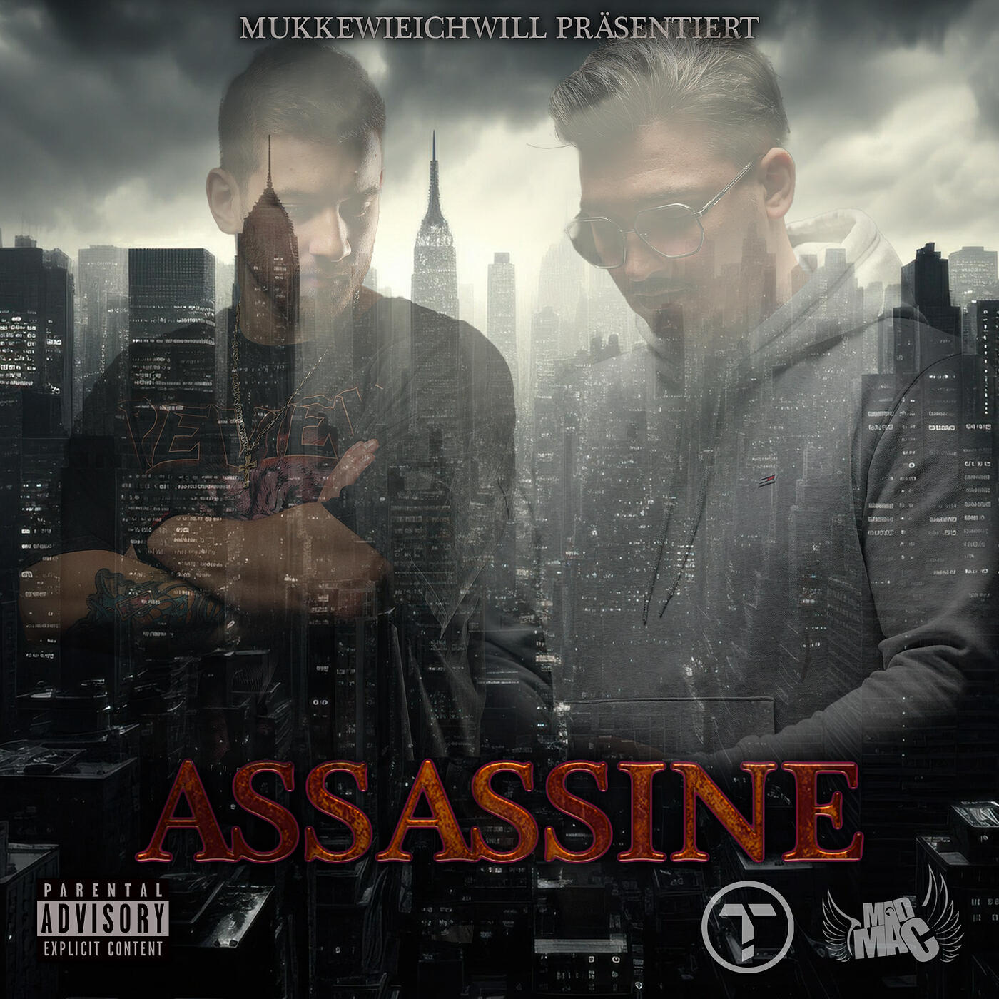 Постер альбома Assassine