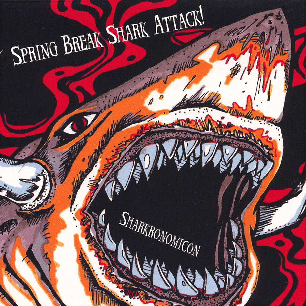 Spring Break Shark Attack!