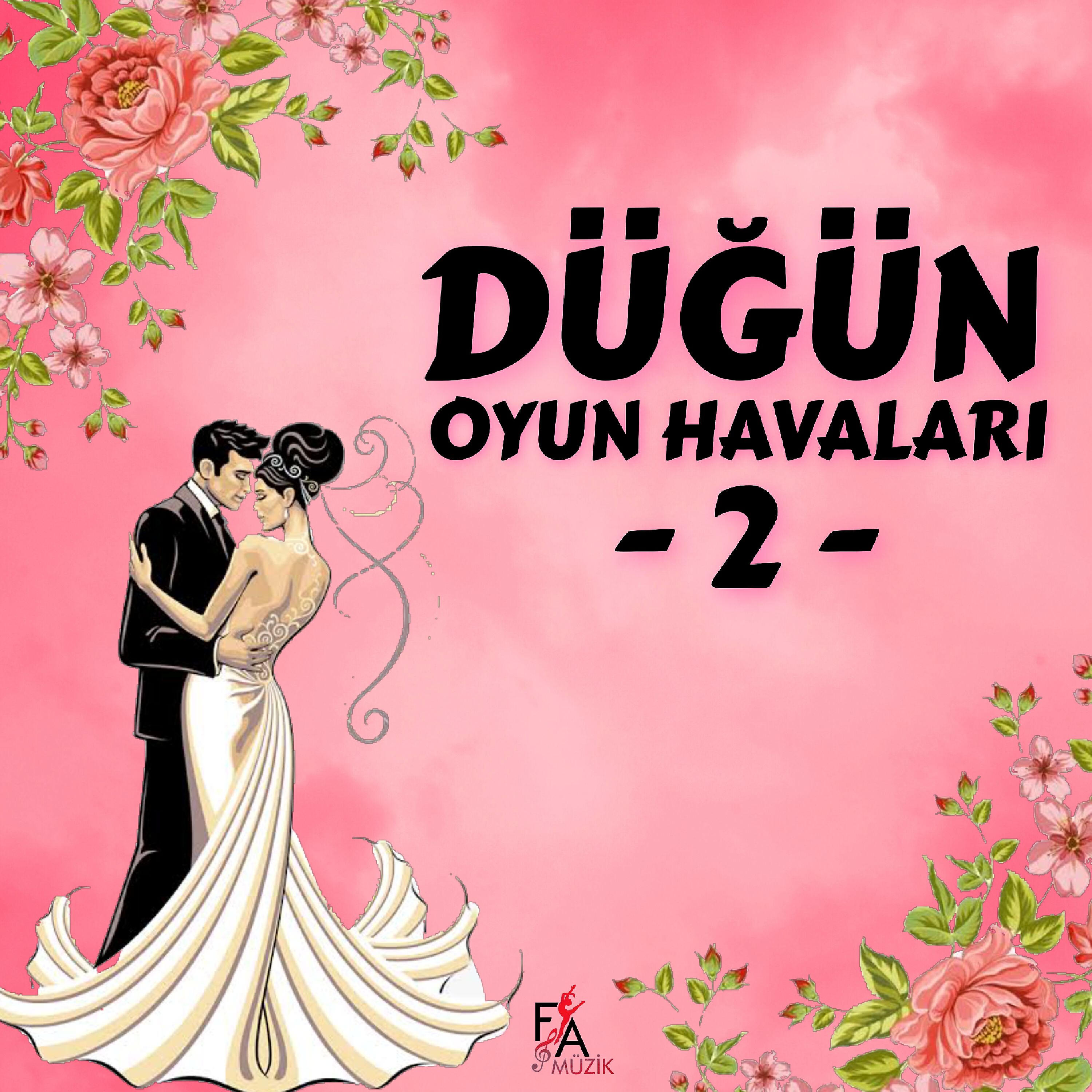 Релиз Düğün Oyun Havaları Vol.2