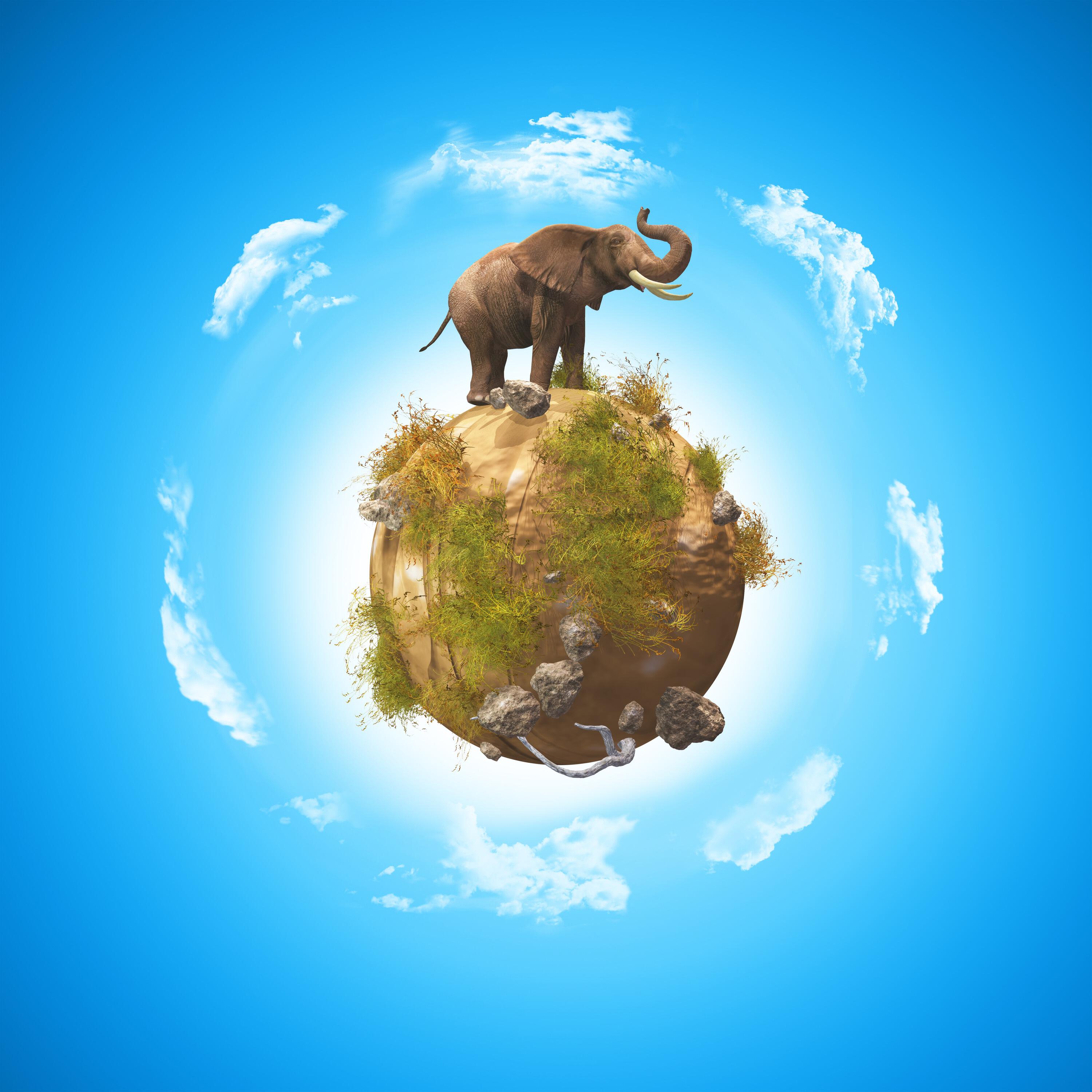 Релиз Safari