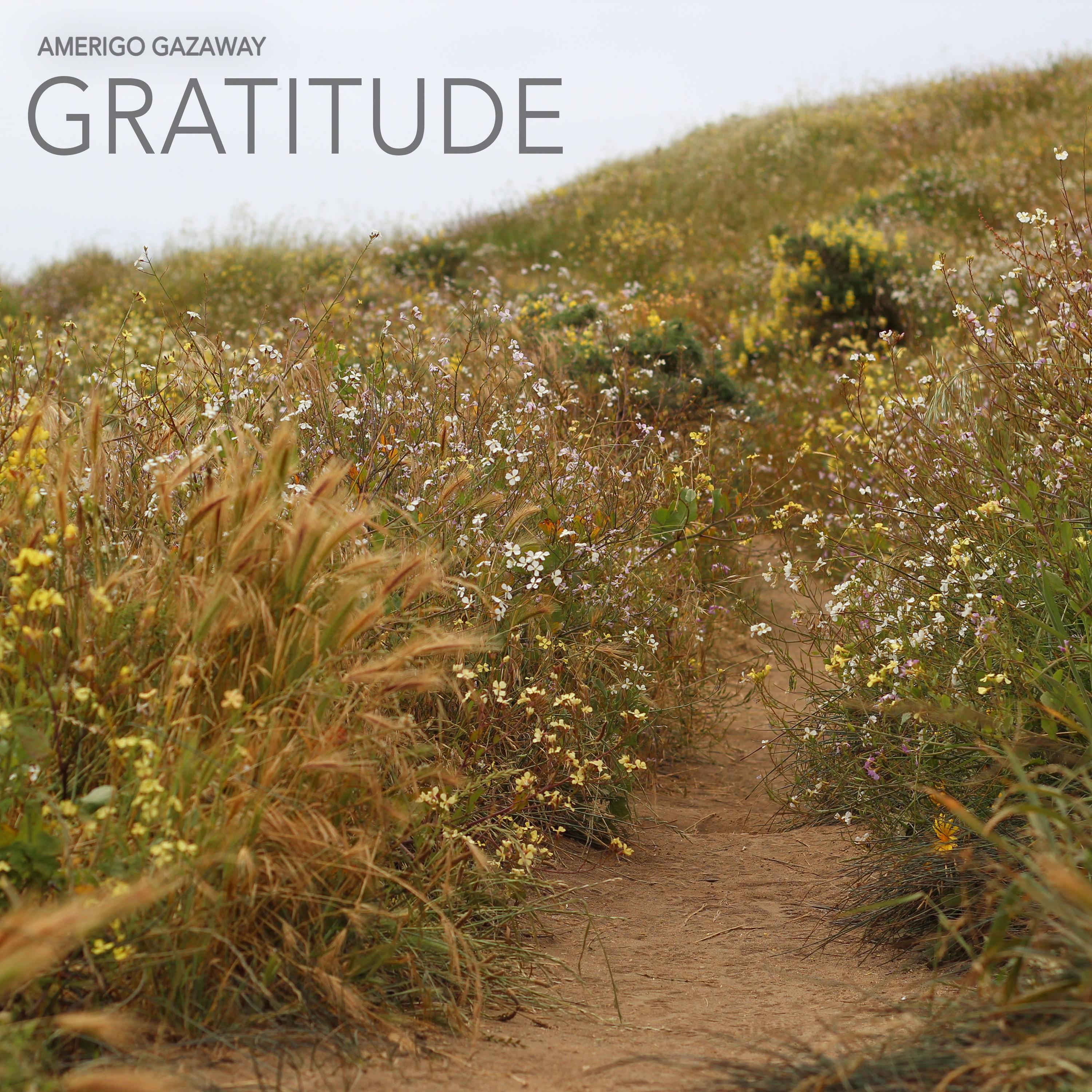 Релиз Gratitude