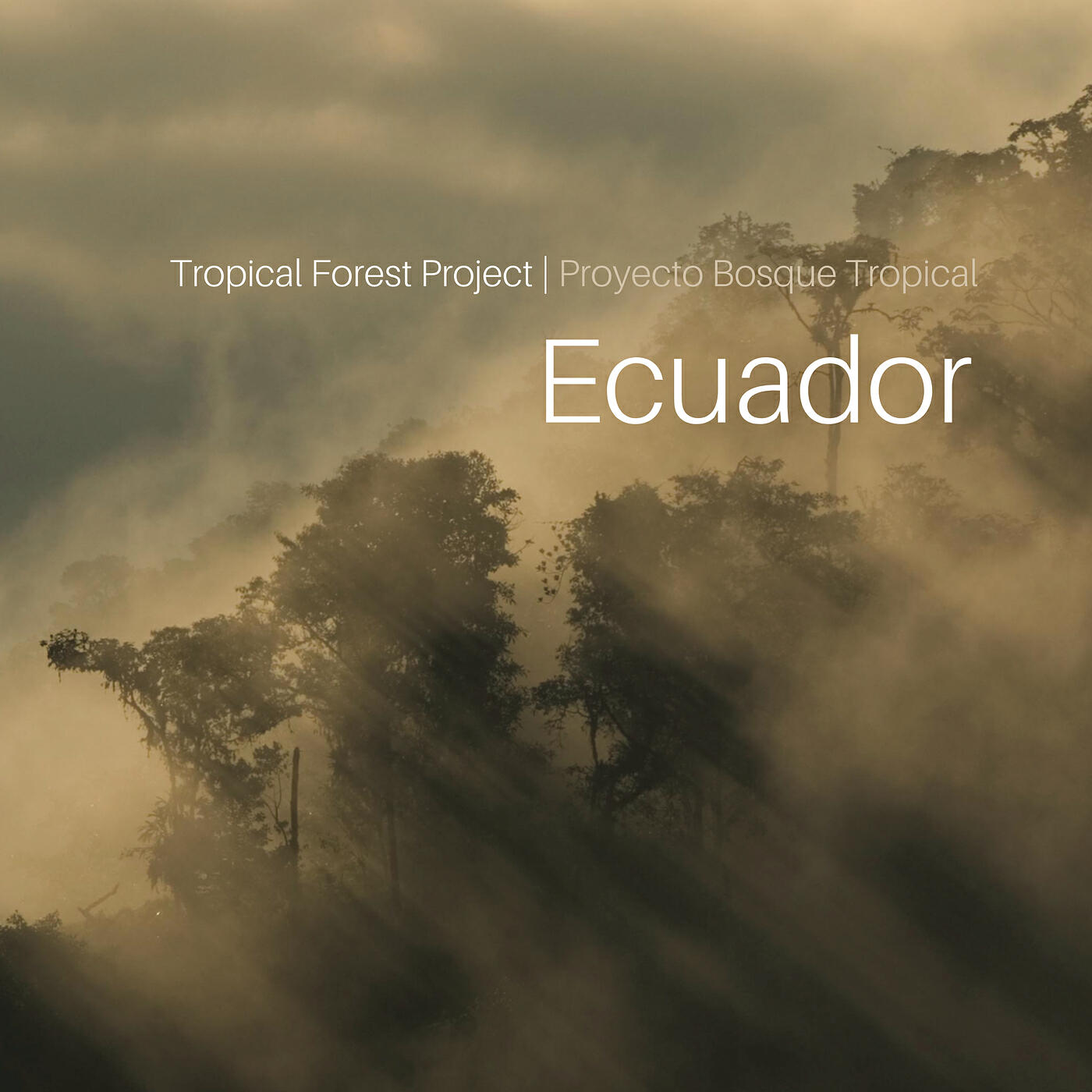 Релиз Tropical Forest Project: Ecuador