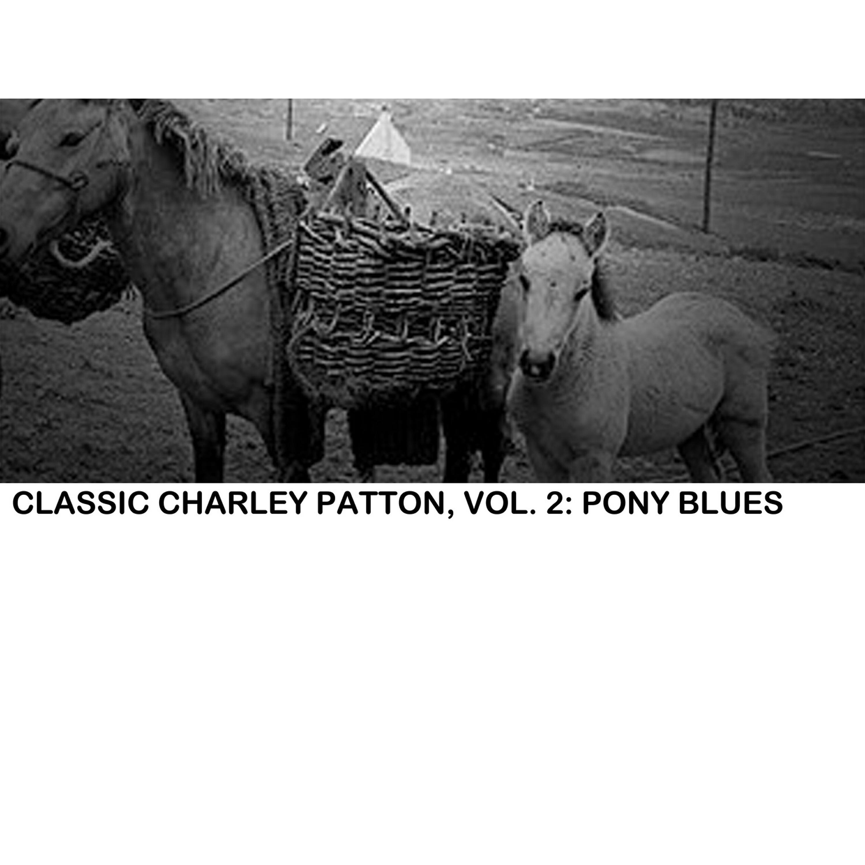 Релиз Classic Charley Patton, Vol. 2: Pony Blues