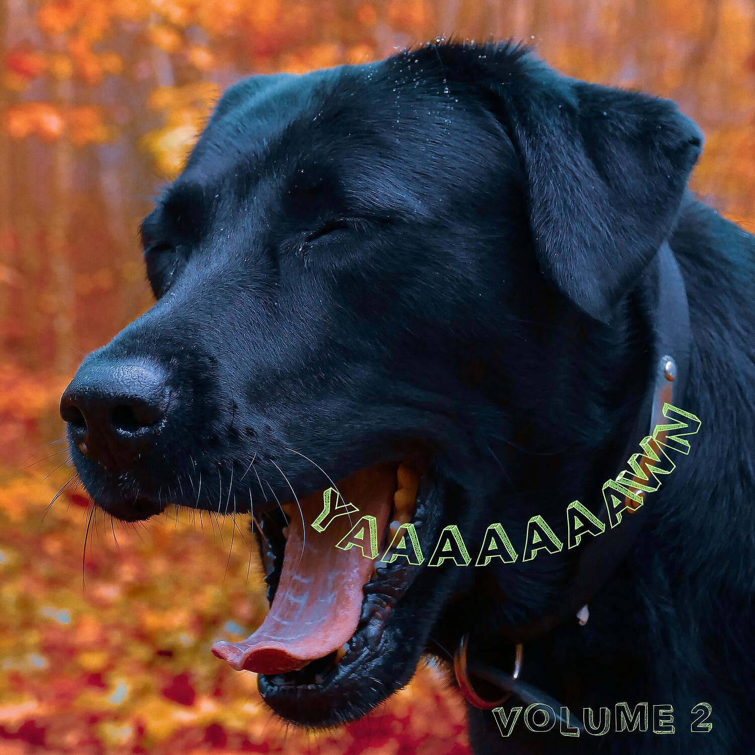 Релиз Yaaaaaaawn, Vol. 2