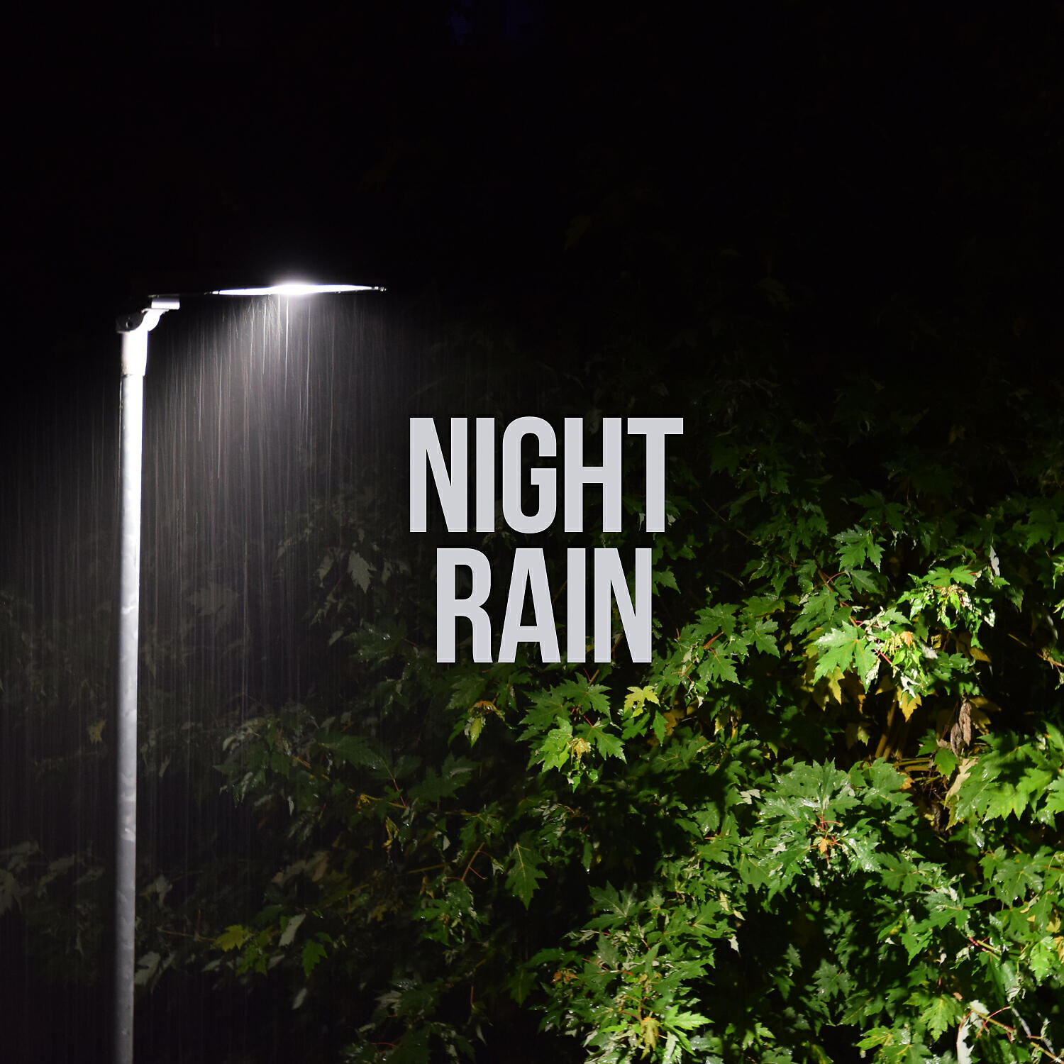Релиз Night Rain