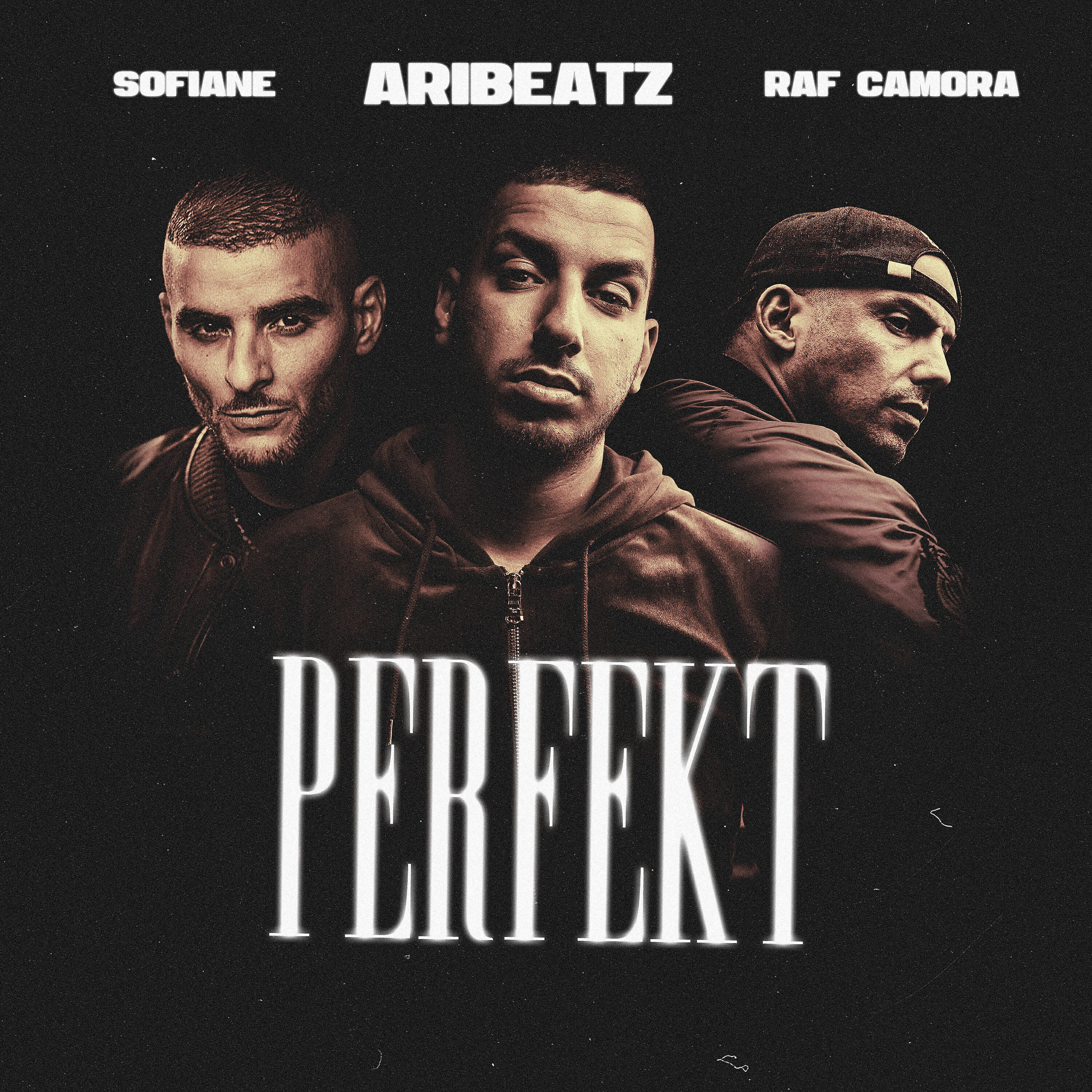Постер альбома Perfekt