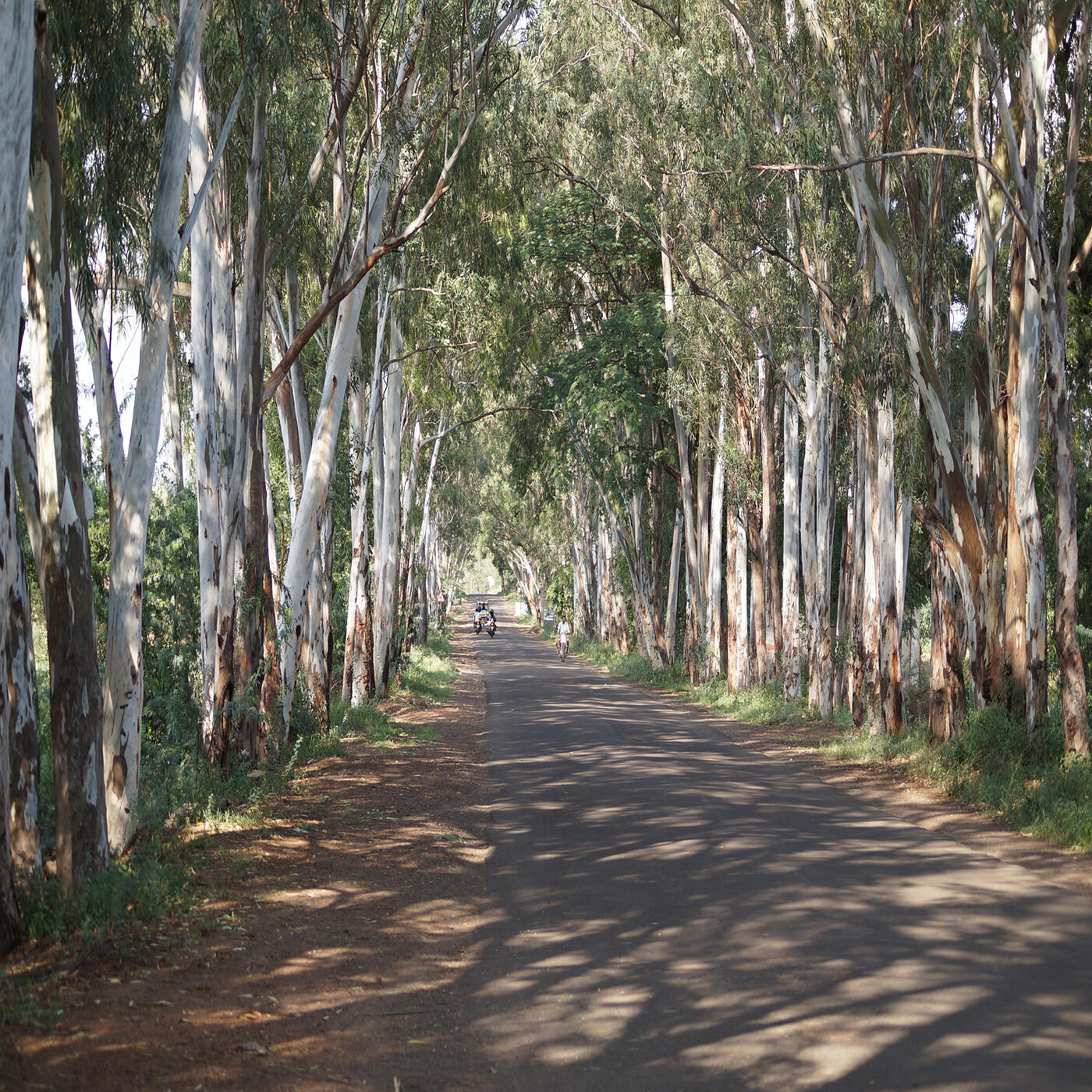 Релиз TestAlbum3_27_2024_9435