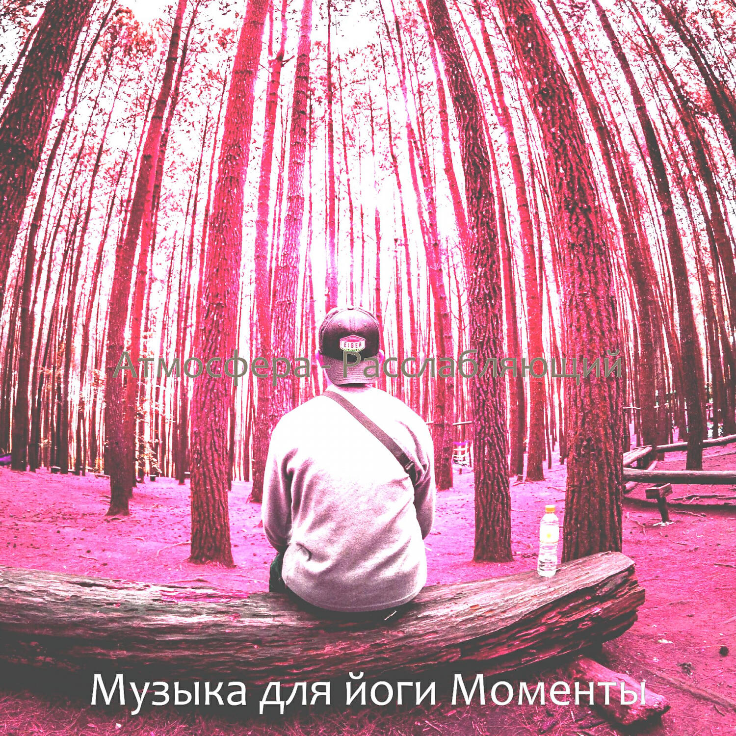 Обложка альбома